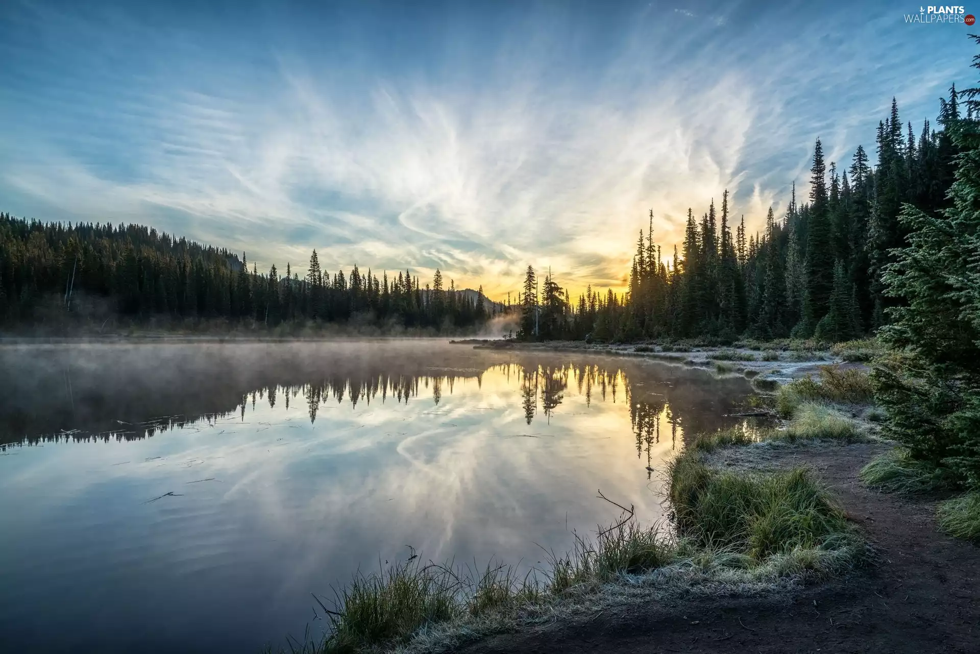viewes, Reflection Lakes, morning, Sunrise, hoarfrost, The United States, Washington State, trees, forest, Mount Rainier National Park, Fog