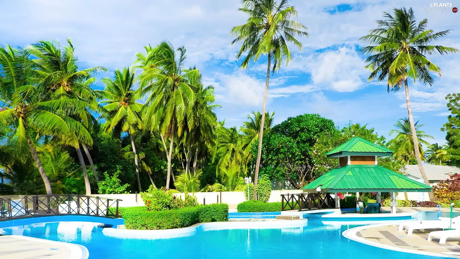 summer, holiday, alcove, Palms, Pool