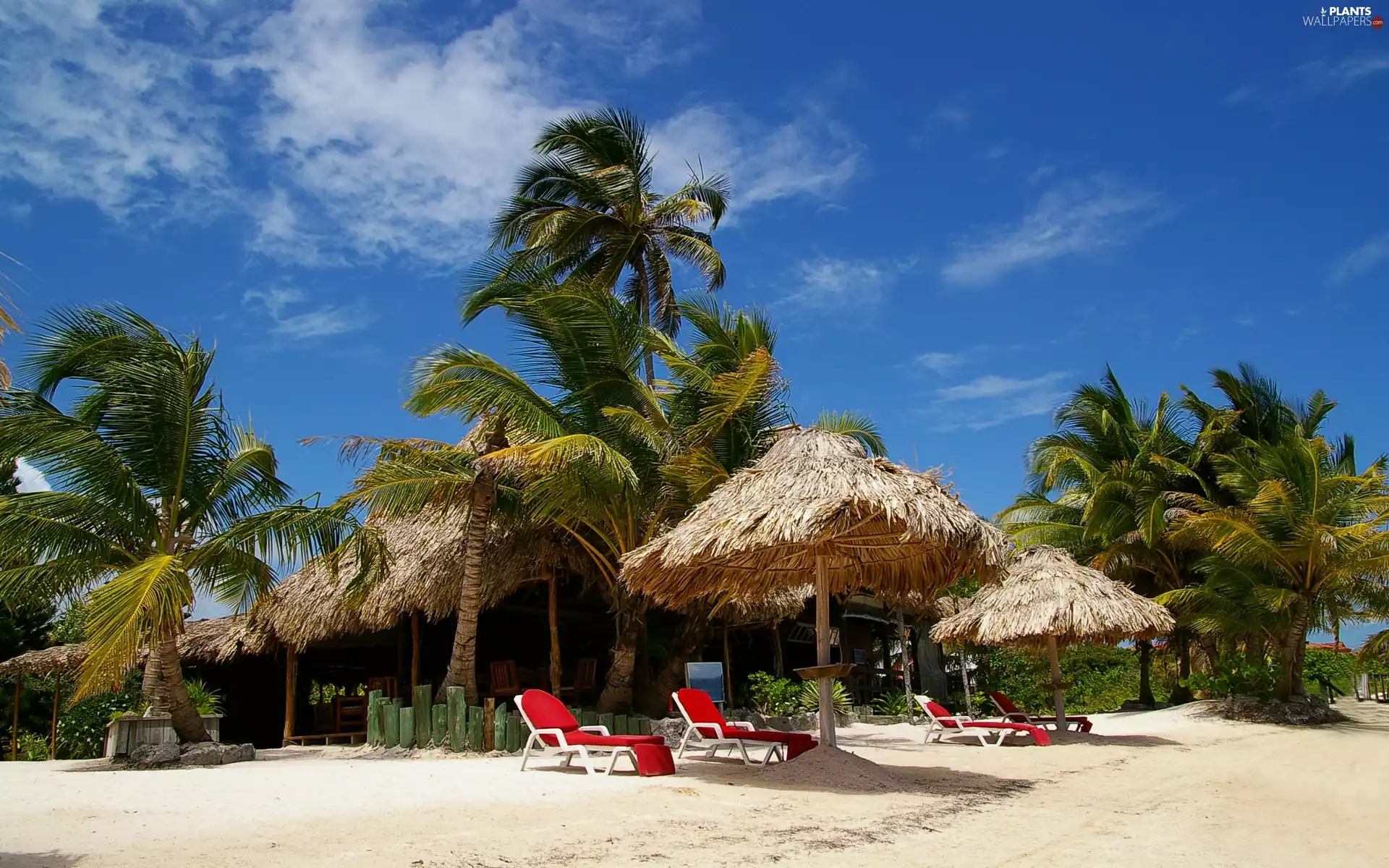 Beaches, deck chair, Tropical, Palms, Sunshade, Island, holiday