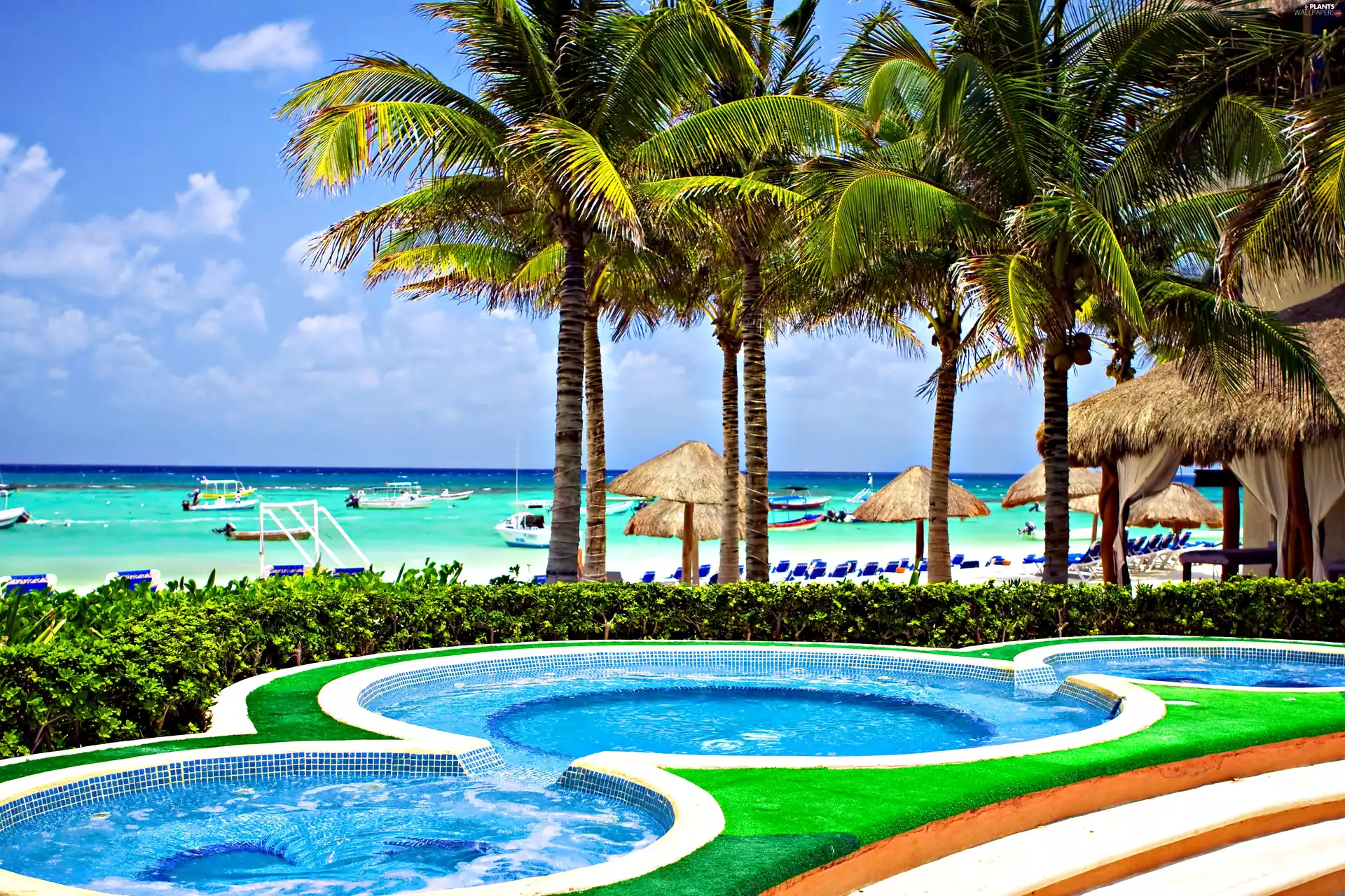 Pool, spa, Caribbean, holiday, Palms, Ocean
