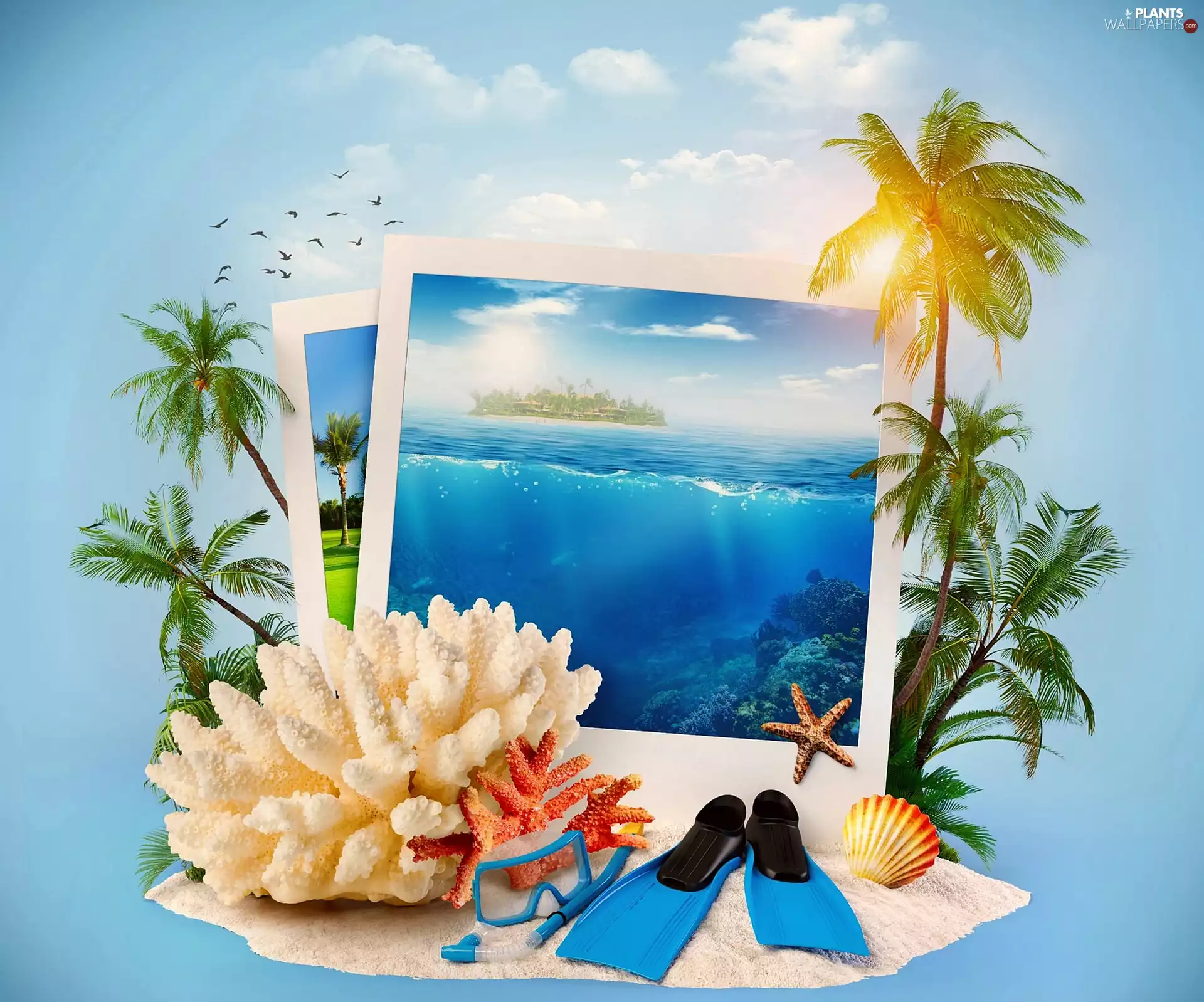 summer, Ocean, Palms, holiday