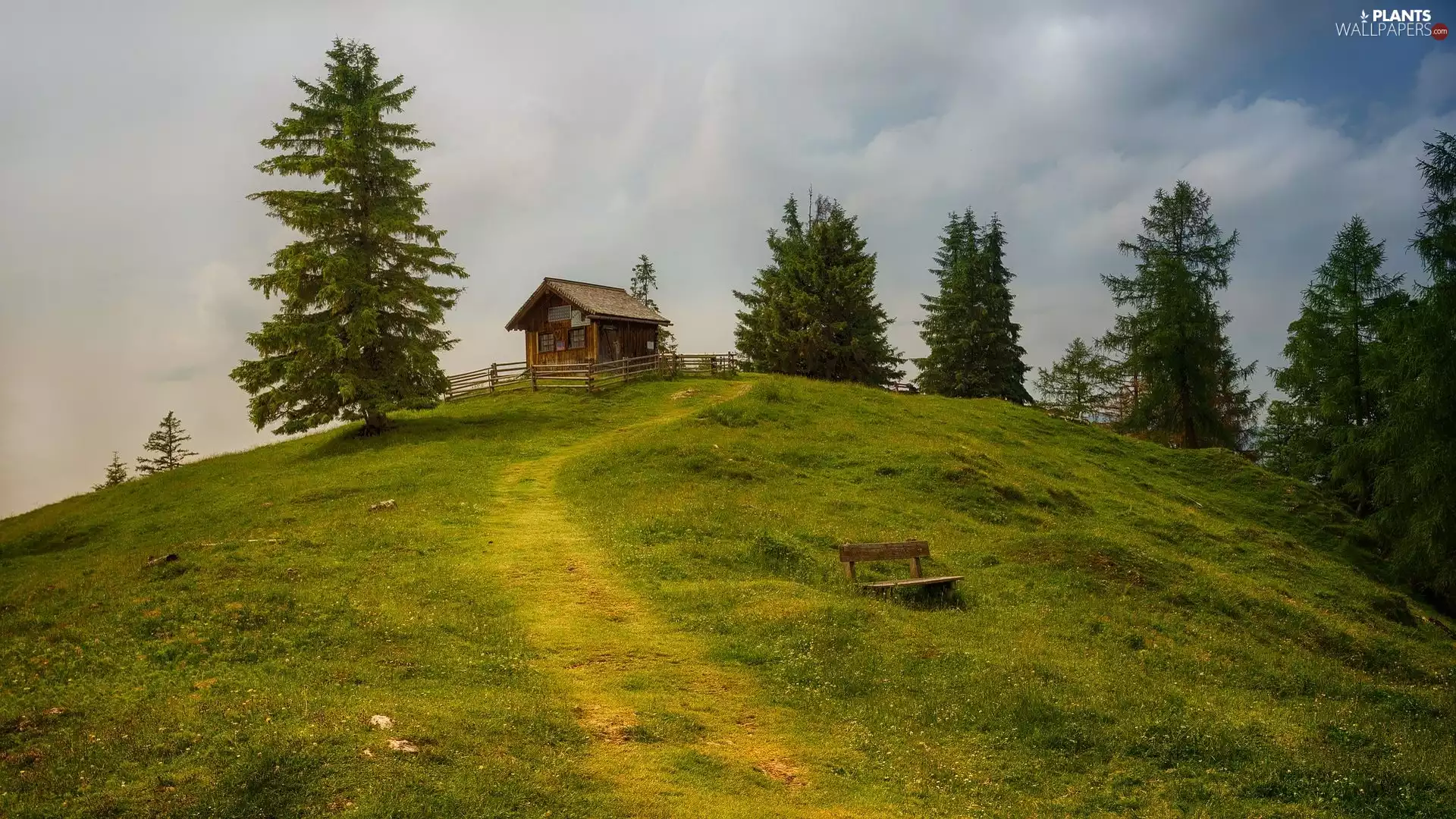 trees, wooden, Path, Home, Hill, viewes, Bench