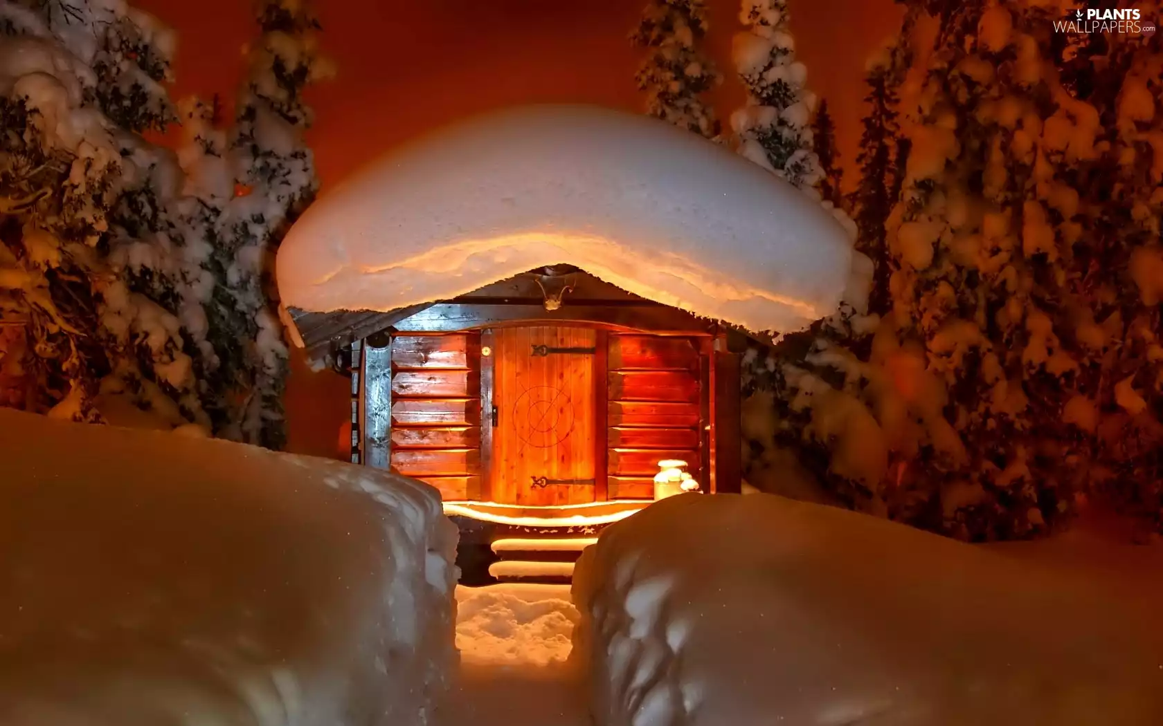 viewes, Home, snow, trees, winter