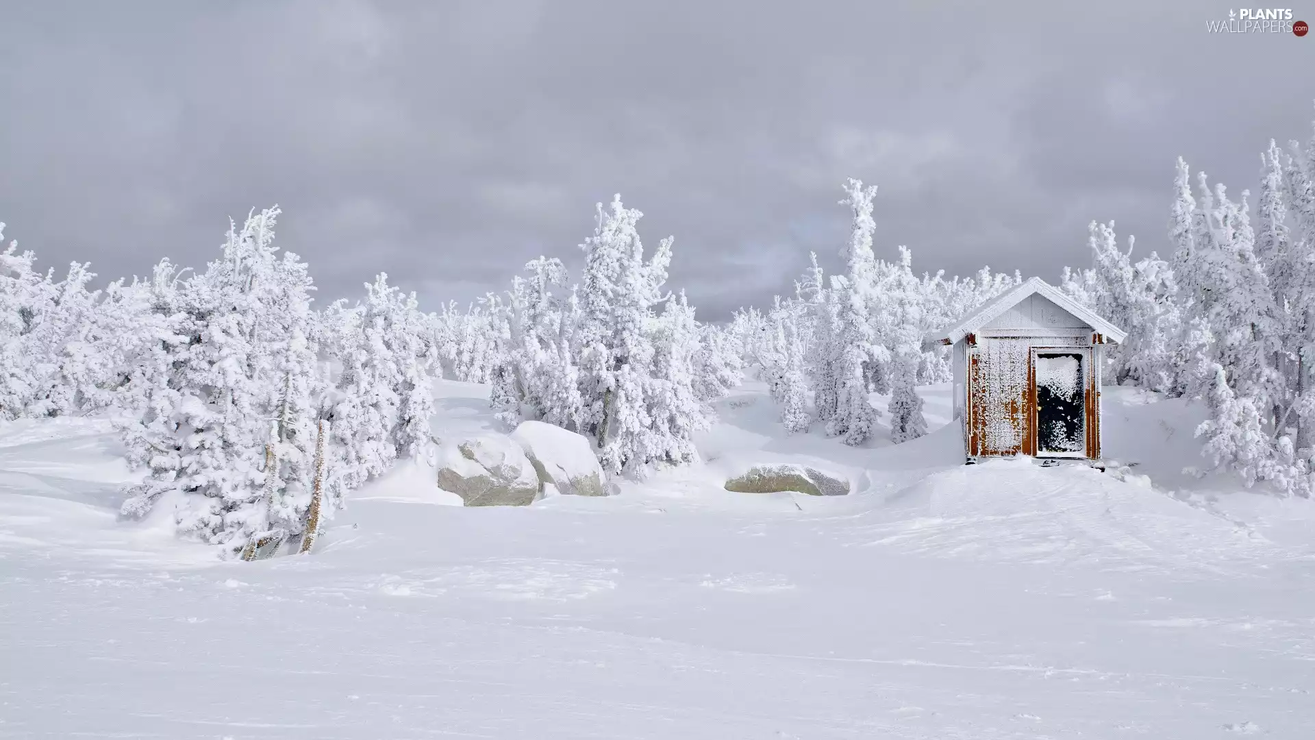 trees, winter, Stones, Home, viewes, Snowy