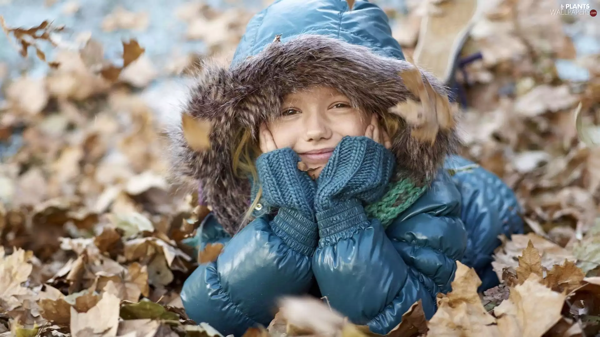 girl, autumn, Jacked, hood, Blue, Leaf