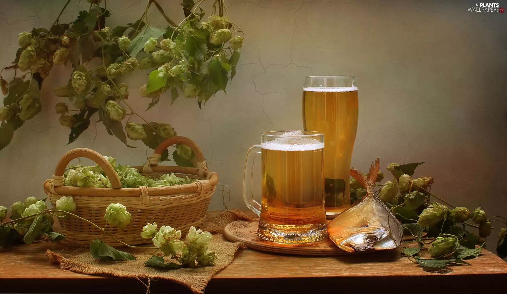 basket, hop, Beer, fish, composition