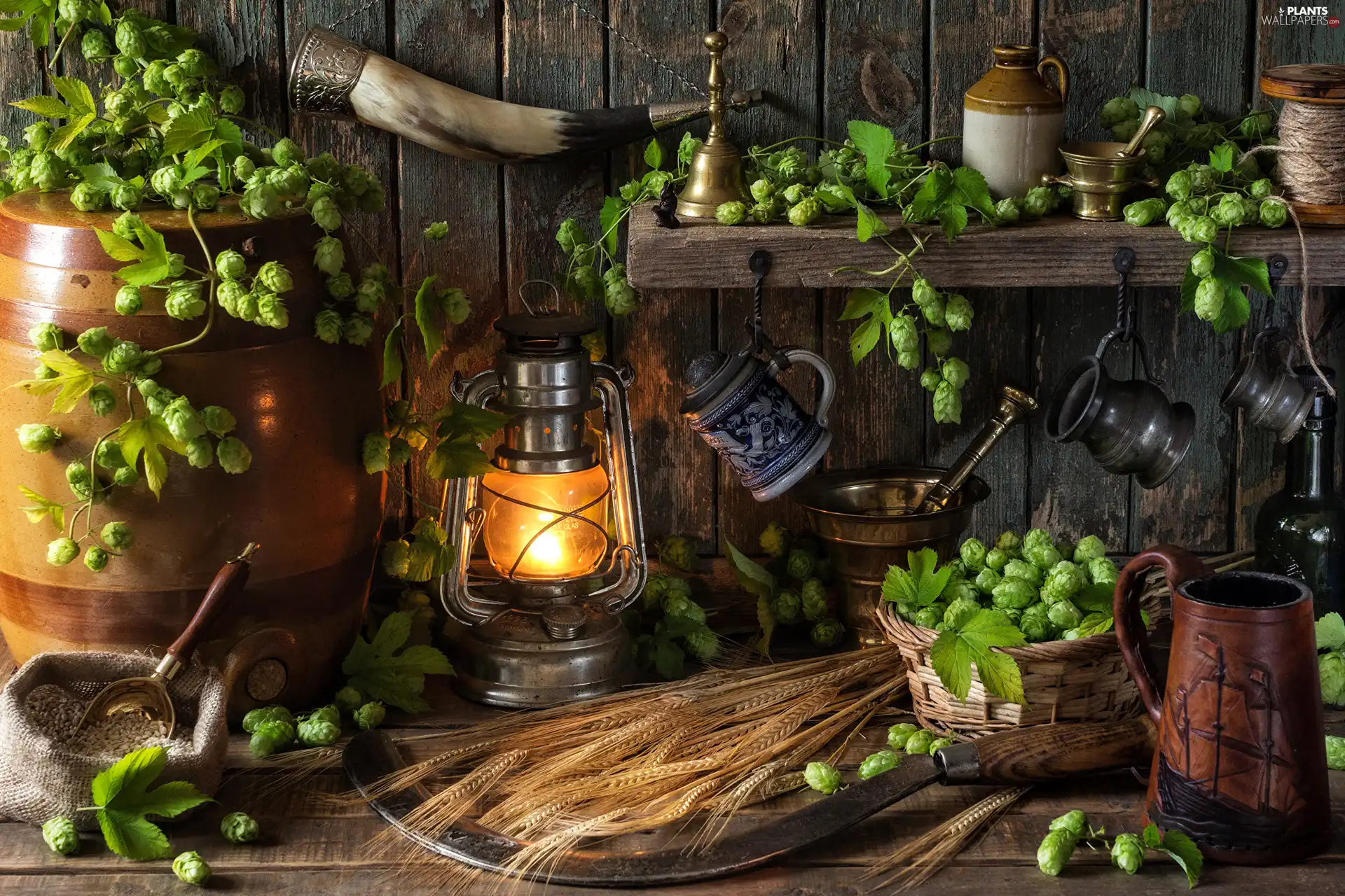 hop, Lamp, barrel, Mugs, composition