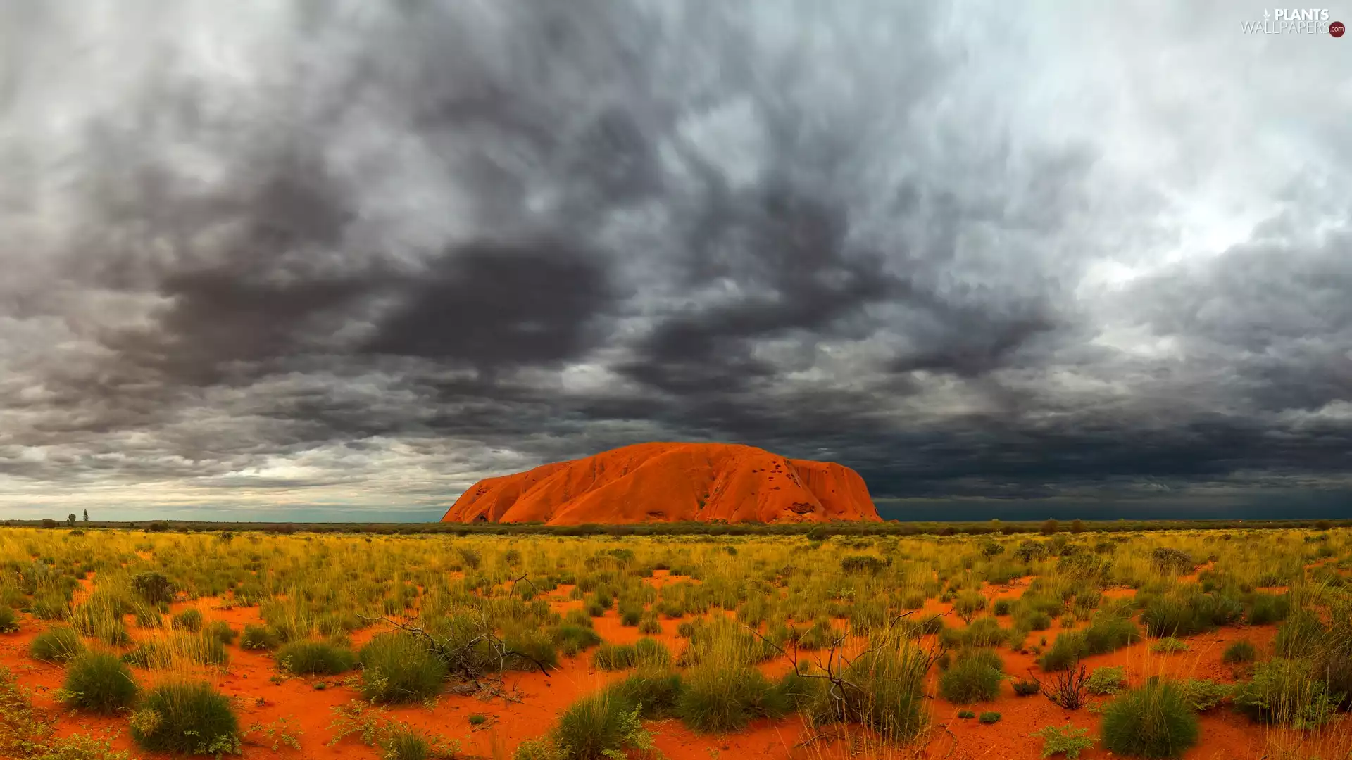 grass, clouds, red hot, Rocks, Uluru