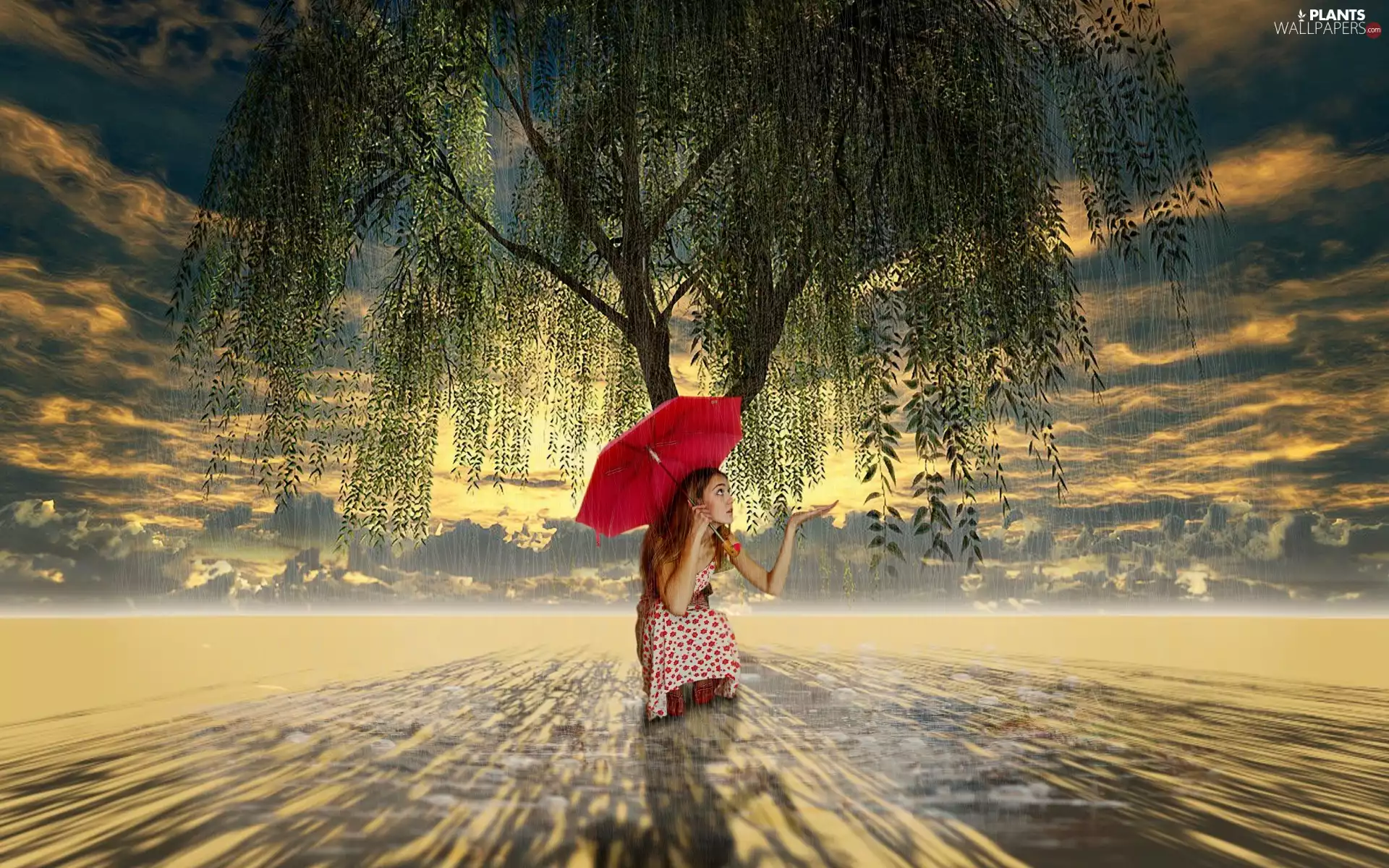 trees, Rain, red hot, umbrella, Women