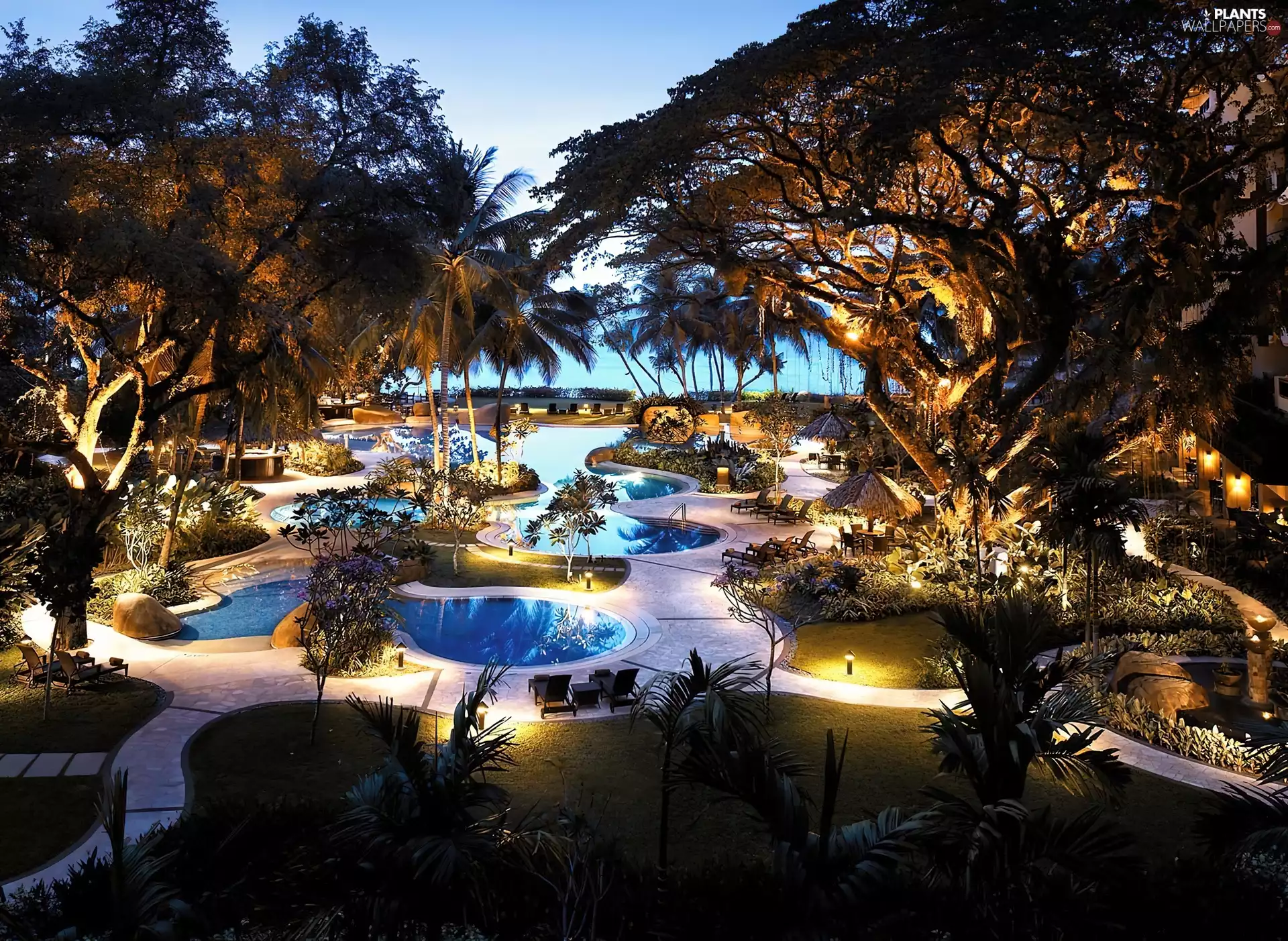 Palms, evening, The hotel, Pools, complex