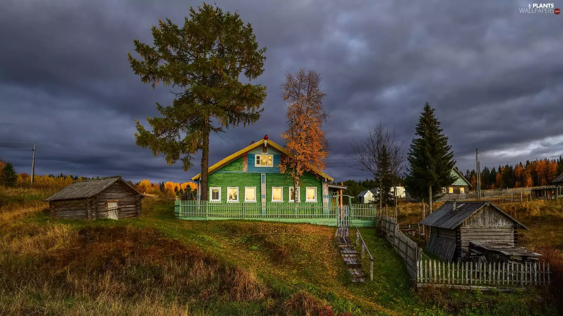 trees, Green, autumn, house, country, clouds, Sheds