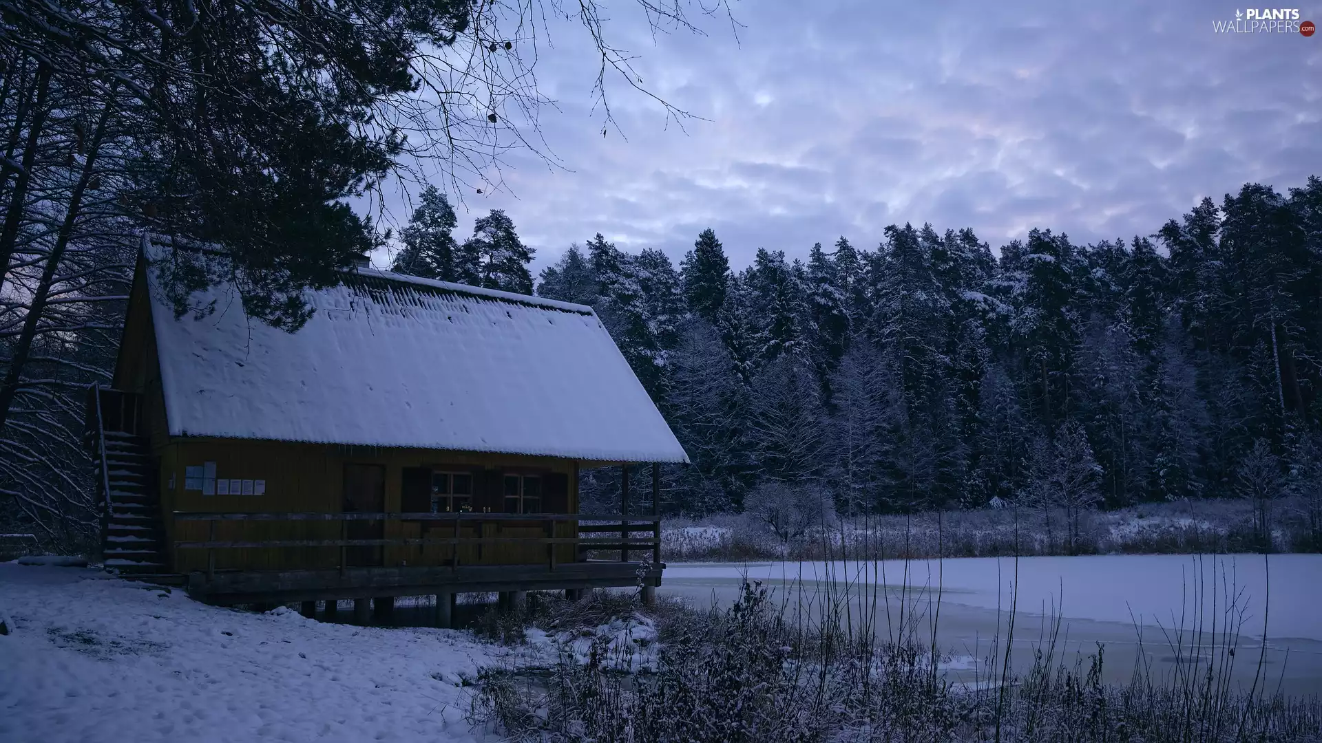 trees, winter, forest, house, viewes, lake