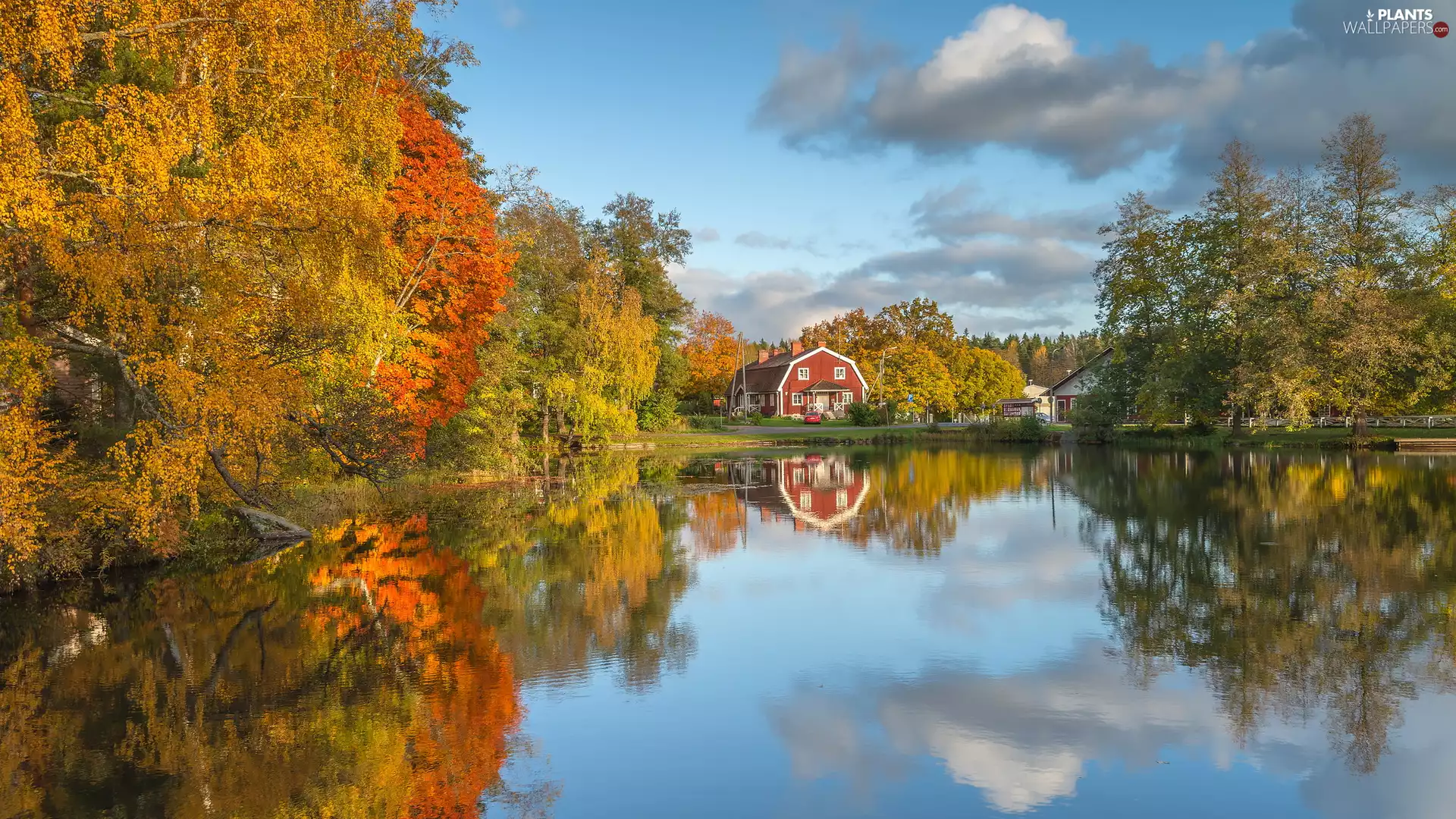 trees, autumn, Red, house, viewes, lake