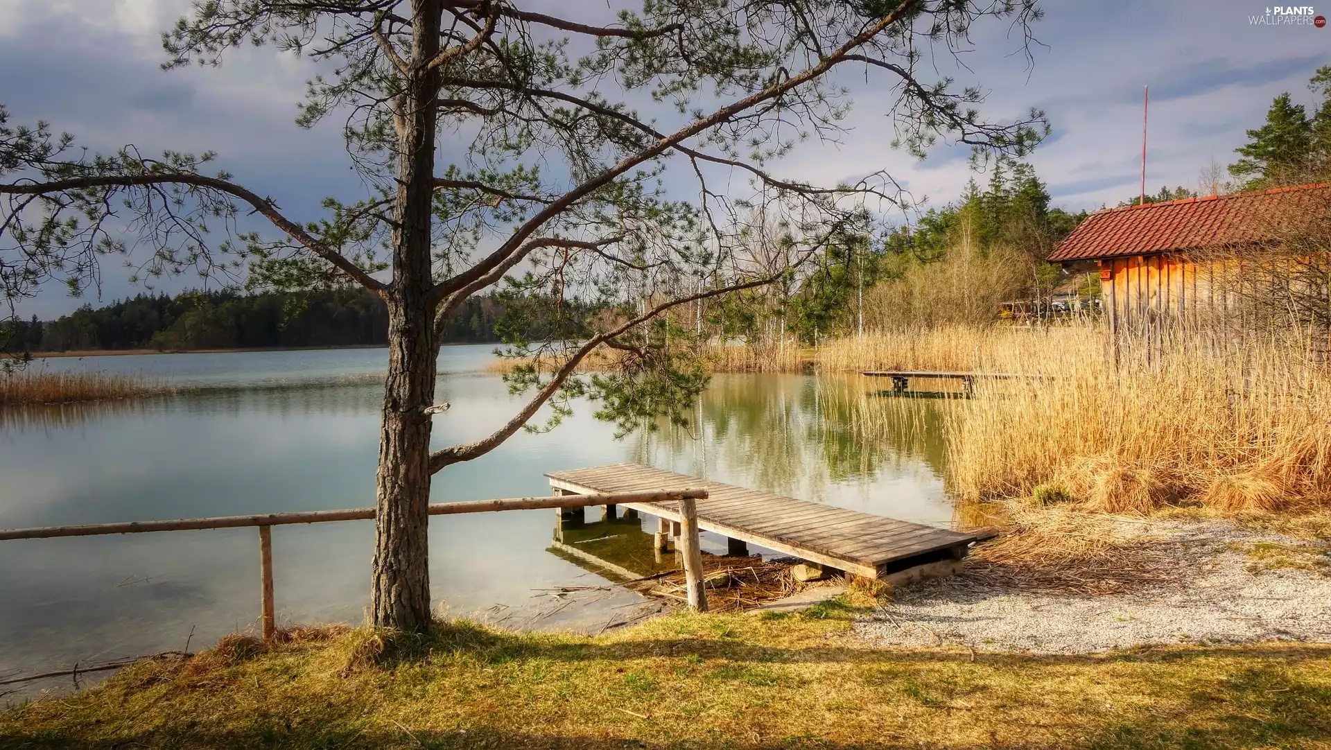 viewes, house, Platform, trees, lake