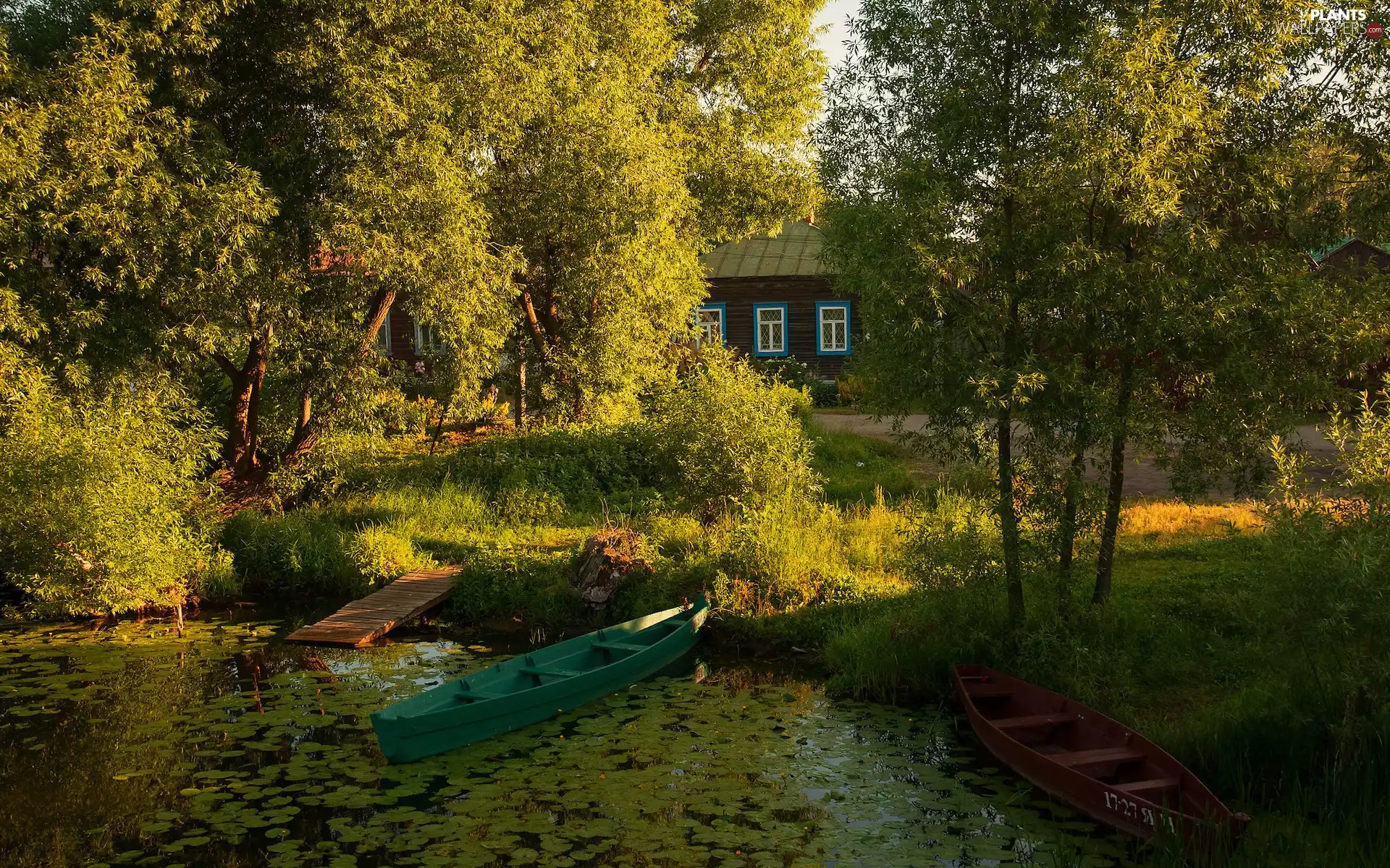 house, trees, summer, viewes, Platform, boats, Pond - car, VEGETATION