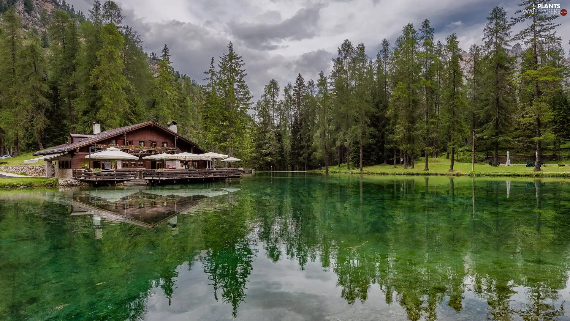 forest, trees, reflection, viewes, clouds, lake, Mountains, house