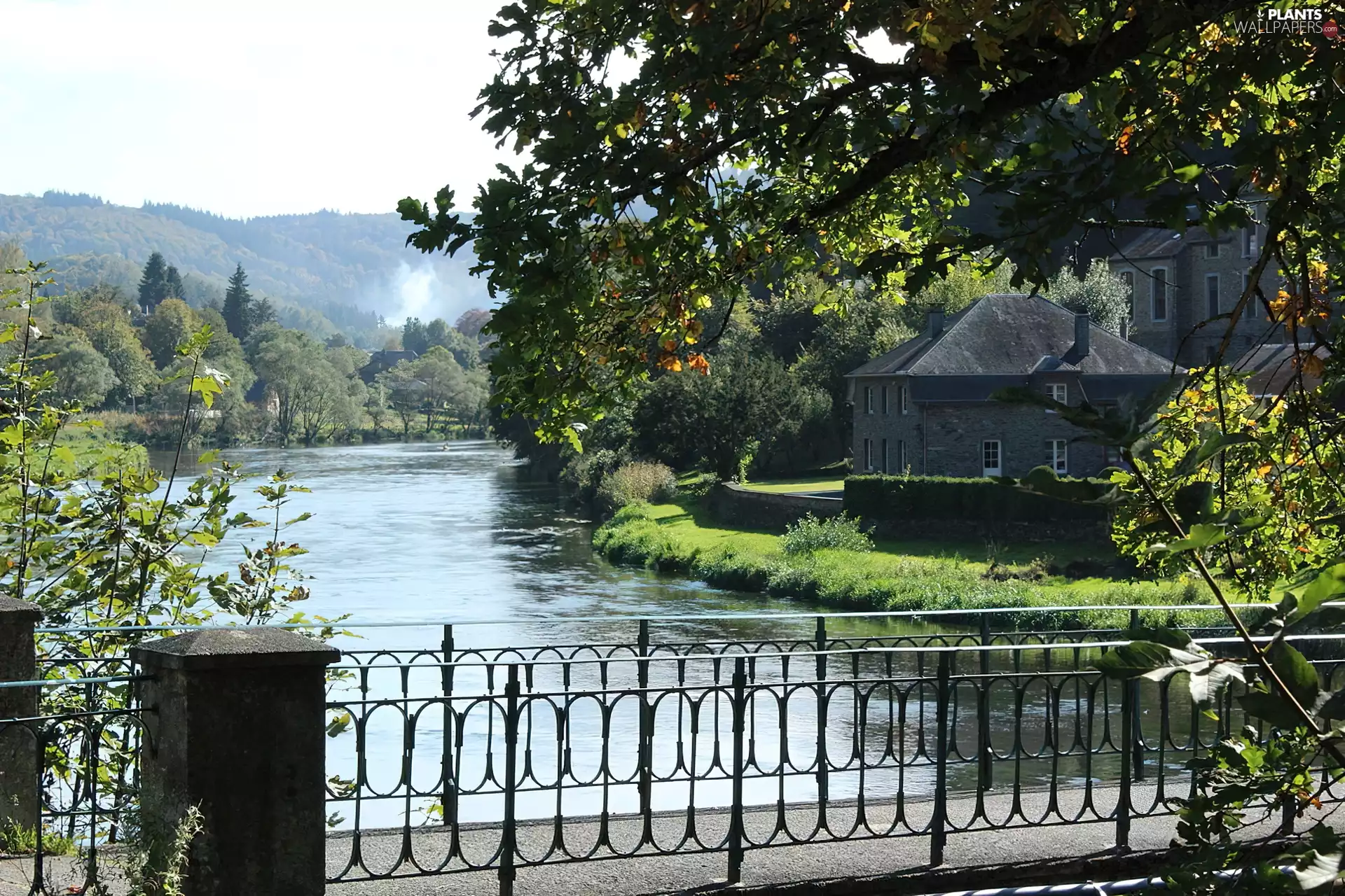 River, bridge, green, house