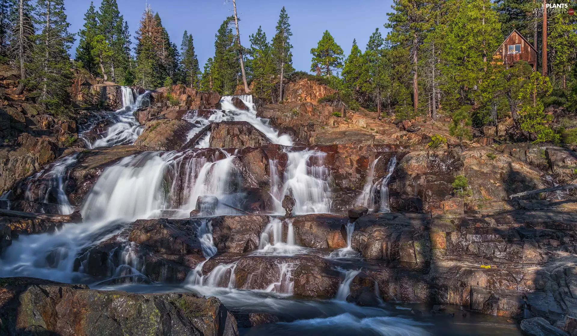 forest, waterfall, viewes, house, trees, rocks