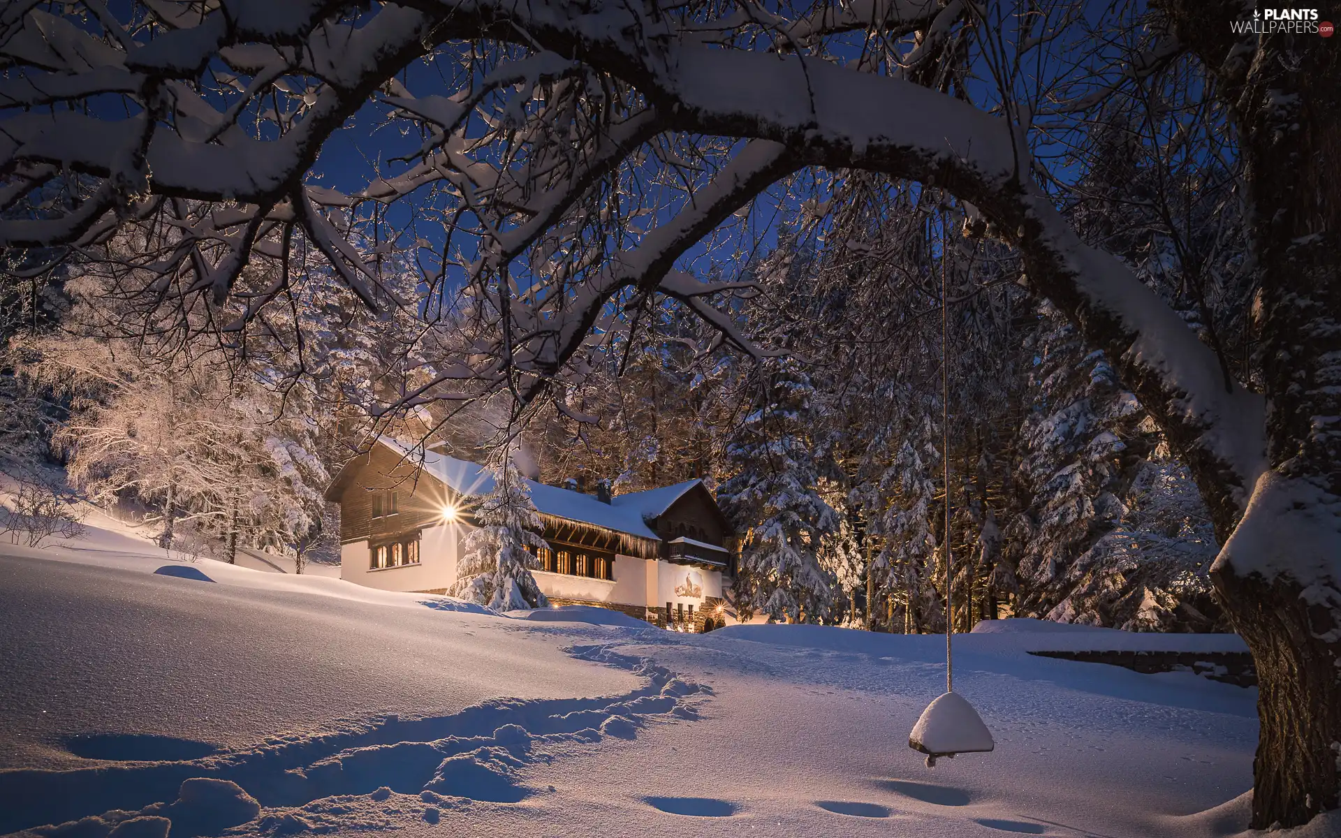 trees, winter, Floodlit, house, viewes, snow