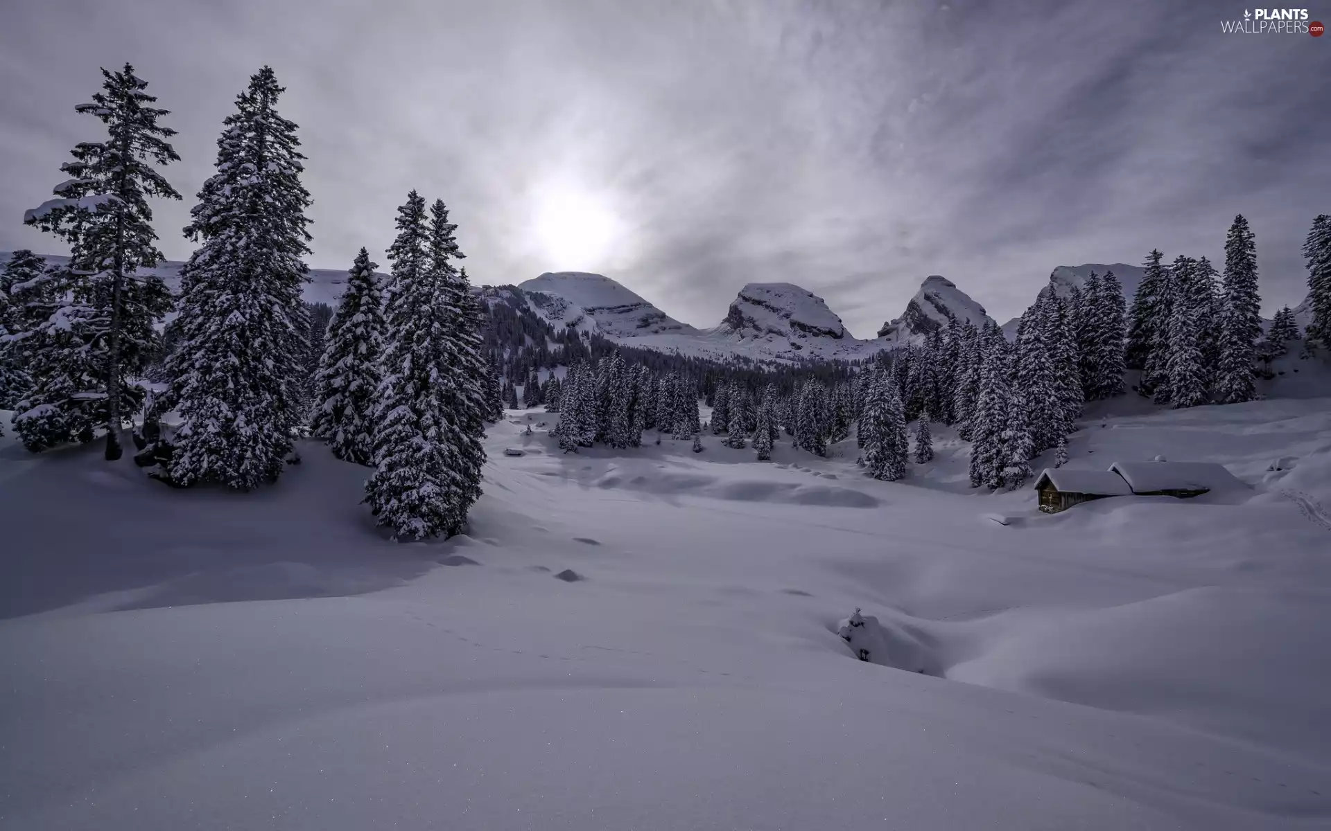 Mountains, winter, viewes, house, trees, snow