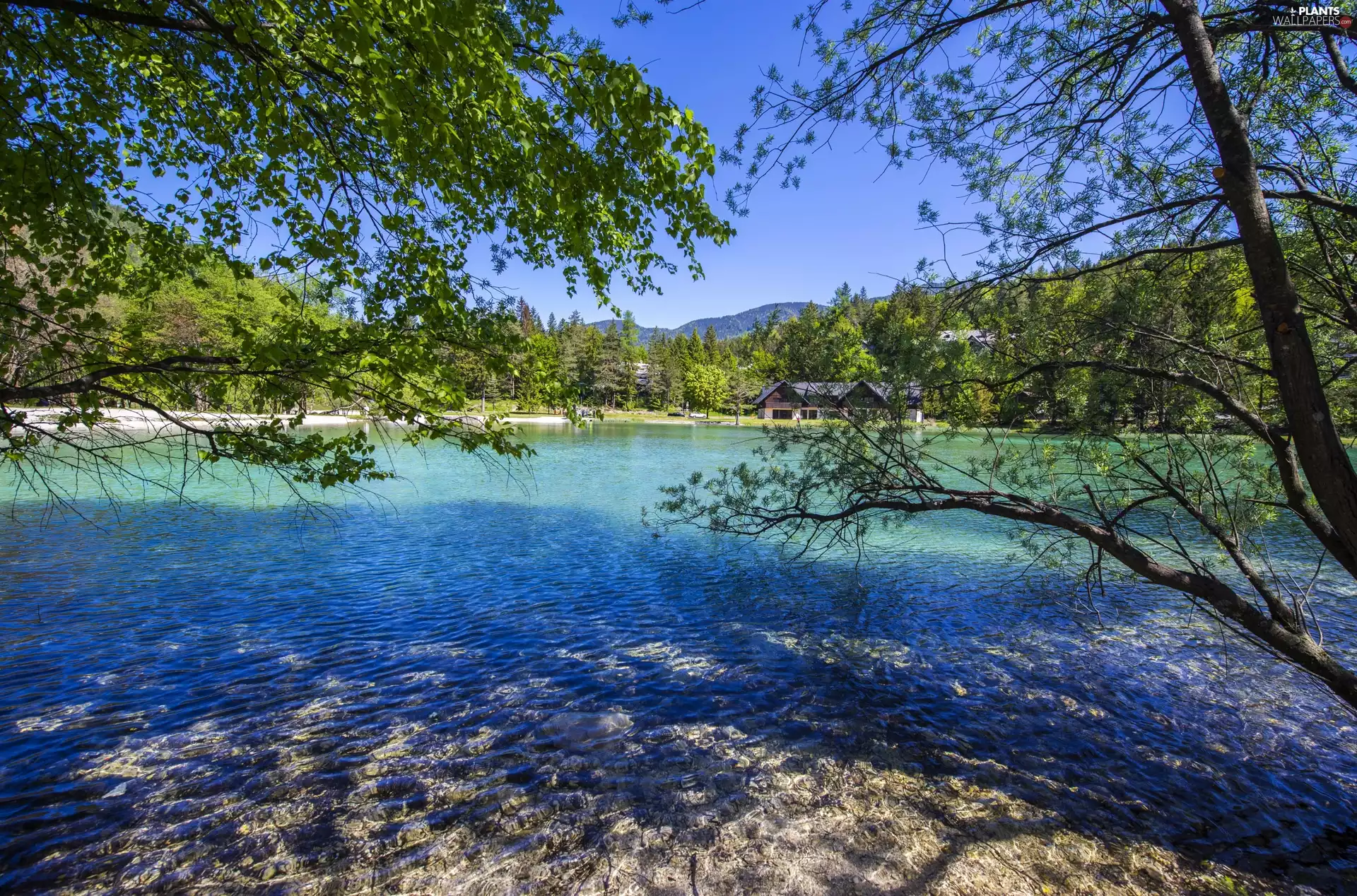 lake, Slovenia, viewes, house, trees, summer