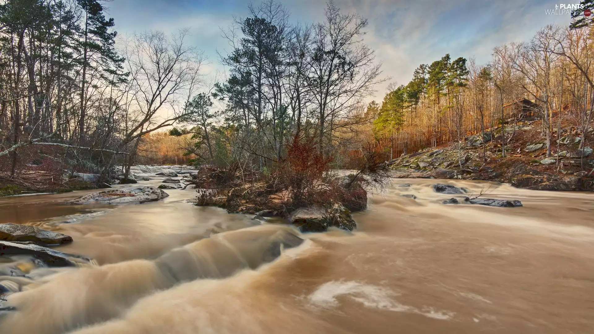 scarp, house, trees, viewes, River