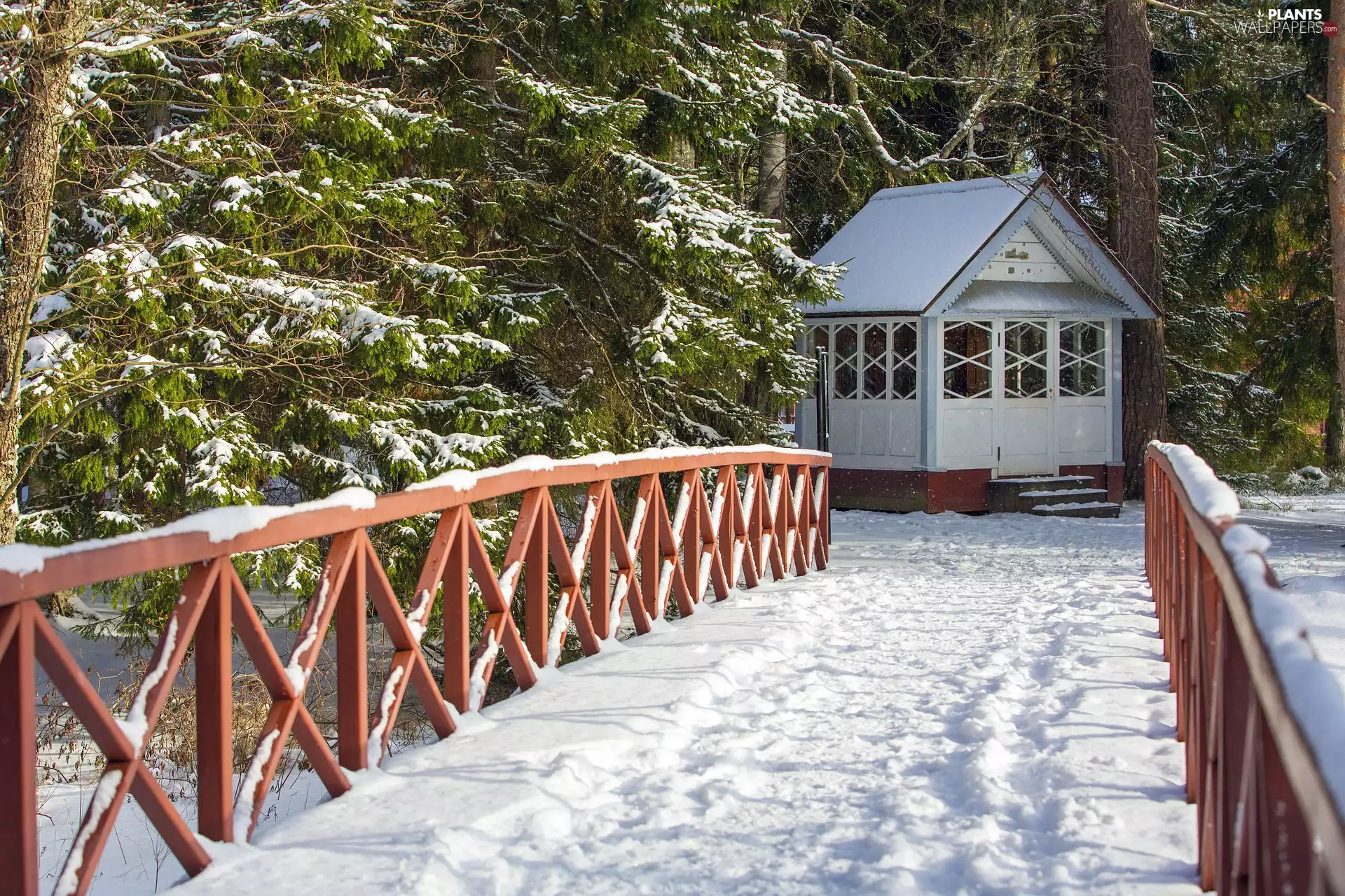 forest, bridge, viewes, house, winter, trees, snow