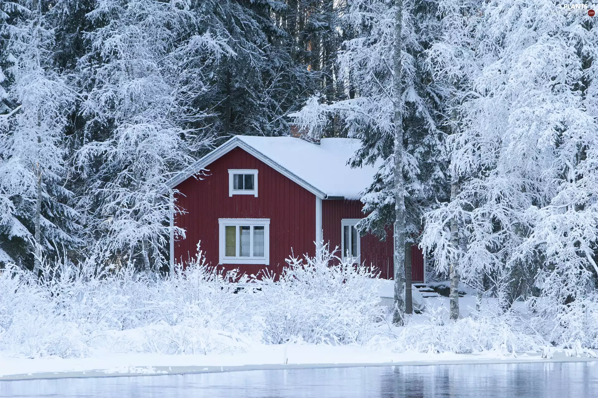 Snowy, forest, viewes, house, winter, trees, River