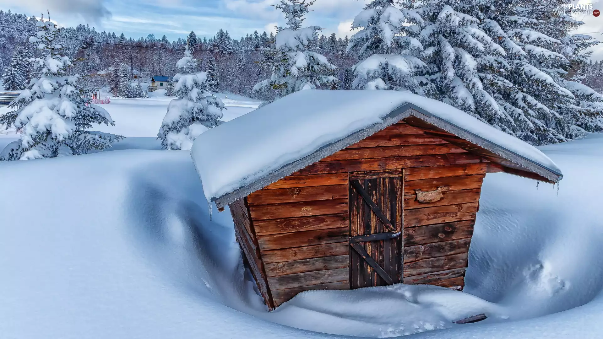 Snowy, wooden, viewes, house, winter, trees, drifts