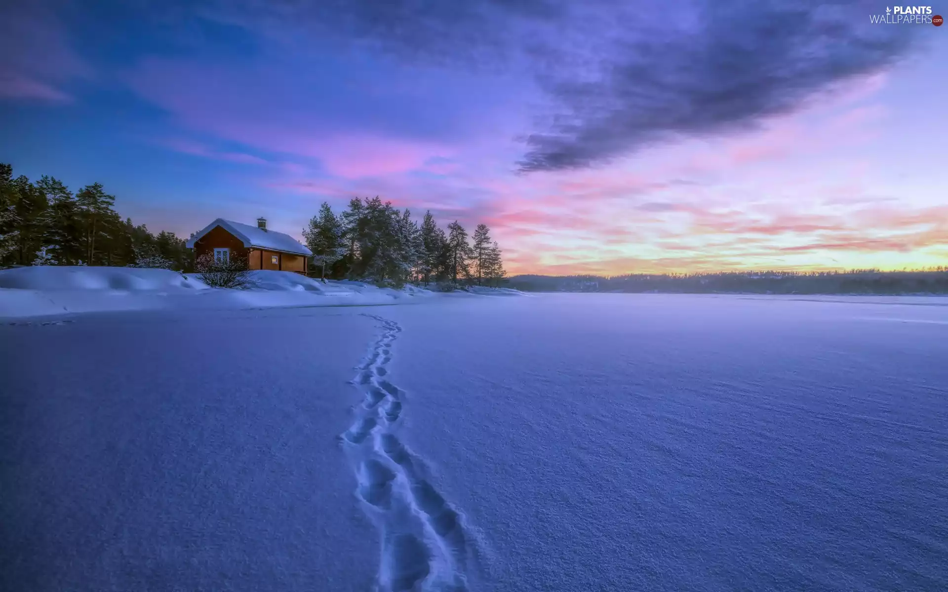 trees, lake, winter, house, frozen, viewes, twilight