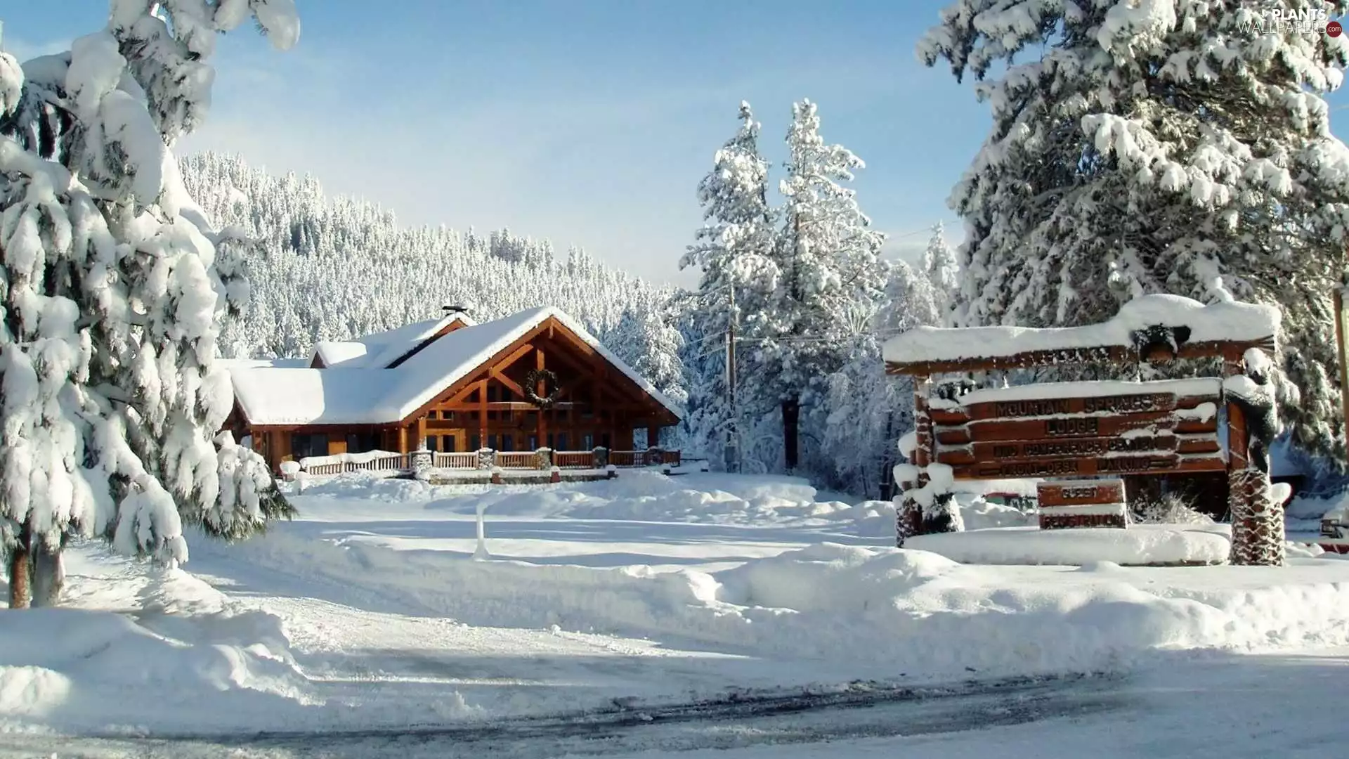winter, trees, viewes, house