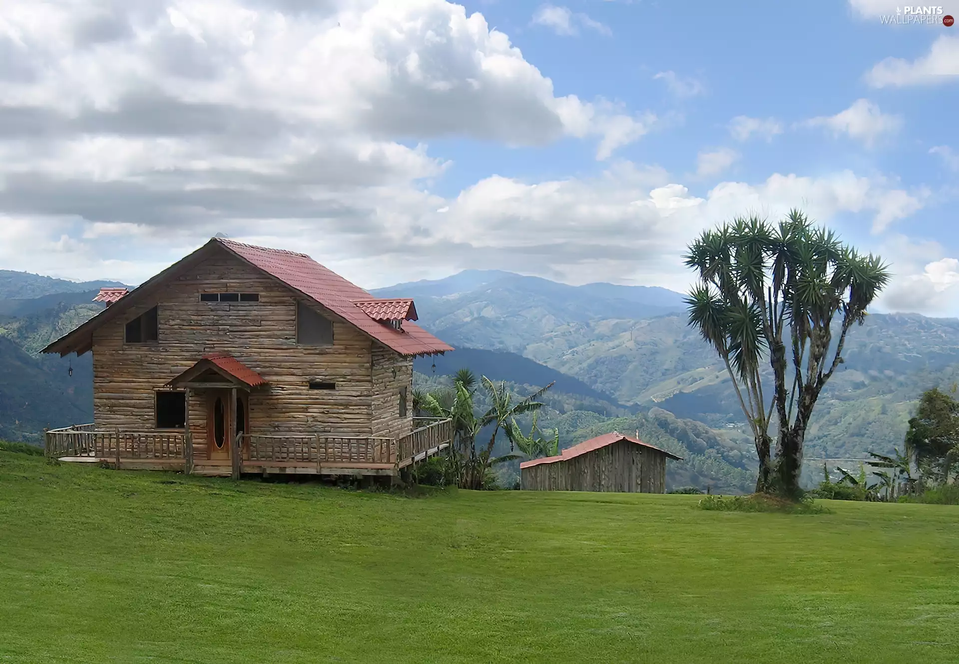 wooden, trees, Mountains, house
