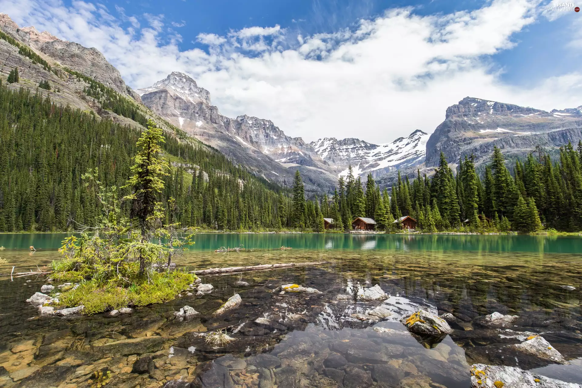 Mountains Canadian Rockies, Yoho National Park, Houses, Lake O’Hara, Spruces, British Columbia, Canada, Stones