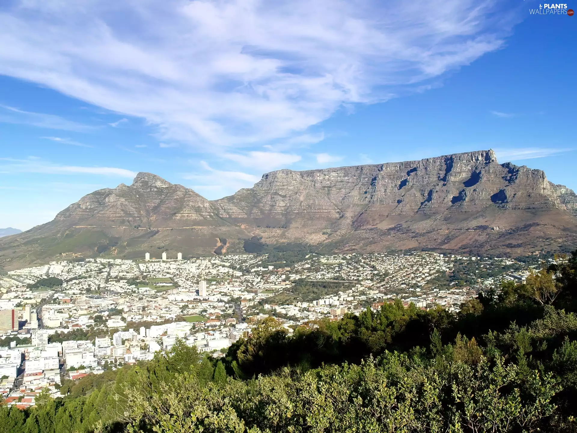 Houses, Mountains, Bush