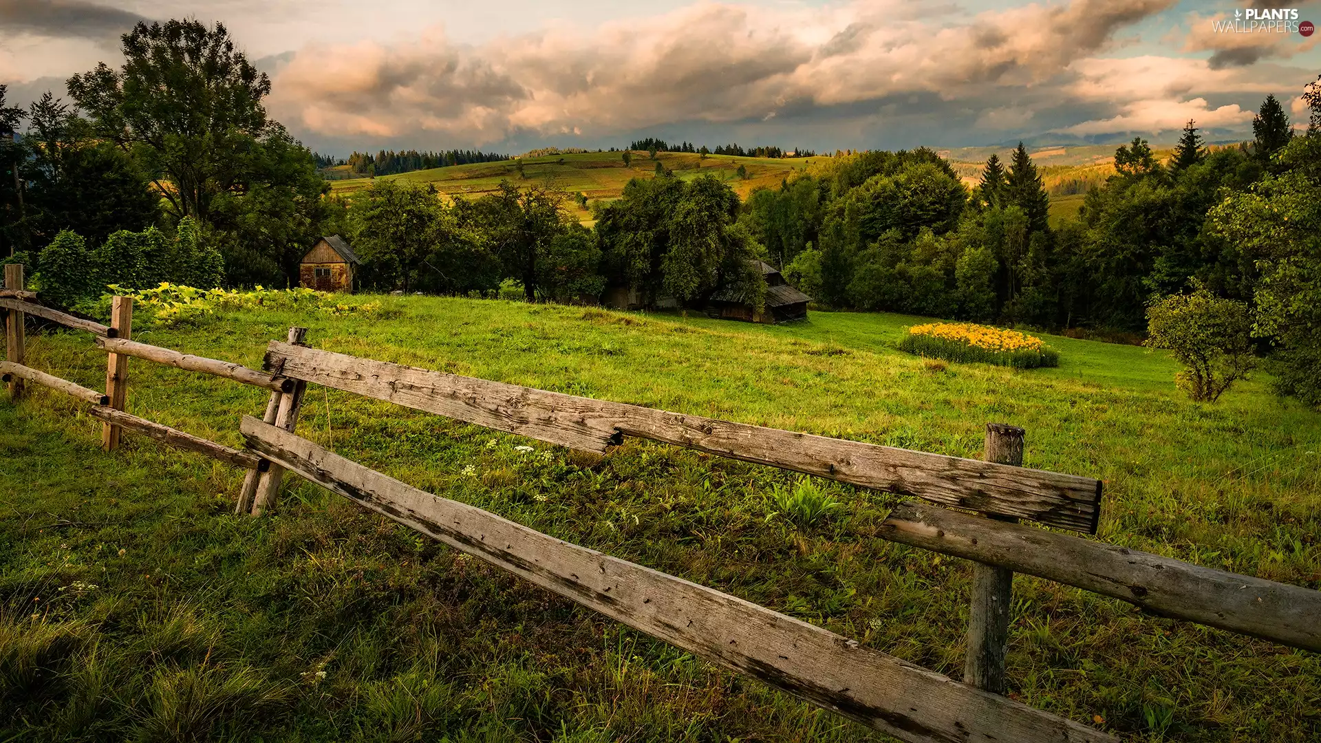 viewes, Meadow, fence, trees, The Hills, clouds, Houses