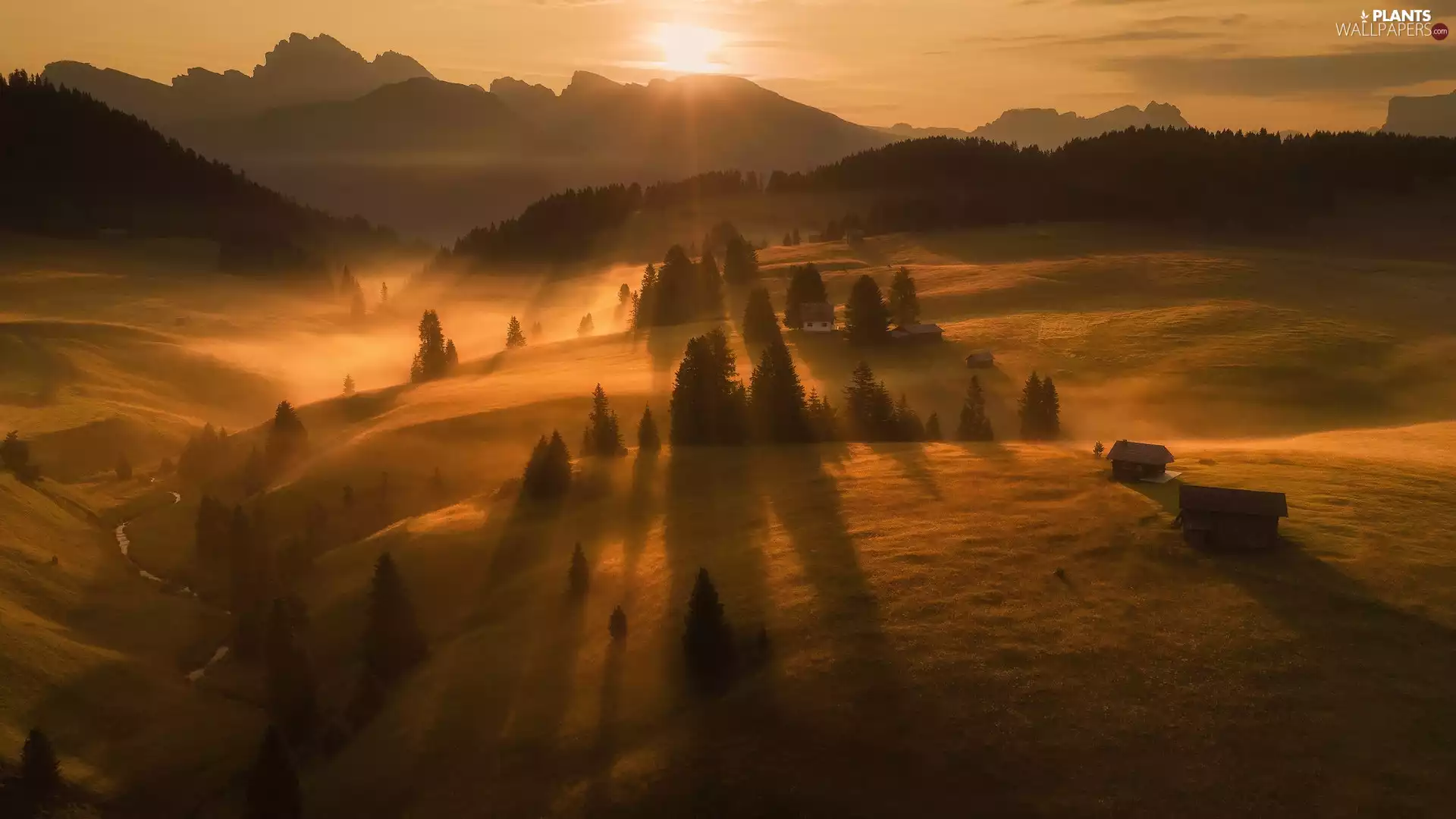 The Hills, Seiser Alm Meadow, Sunrise, Val Gardena Valley, trees, Italy, autumn, Dolomites, Sassolungo Mountains, viewes, Houses