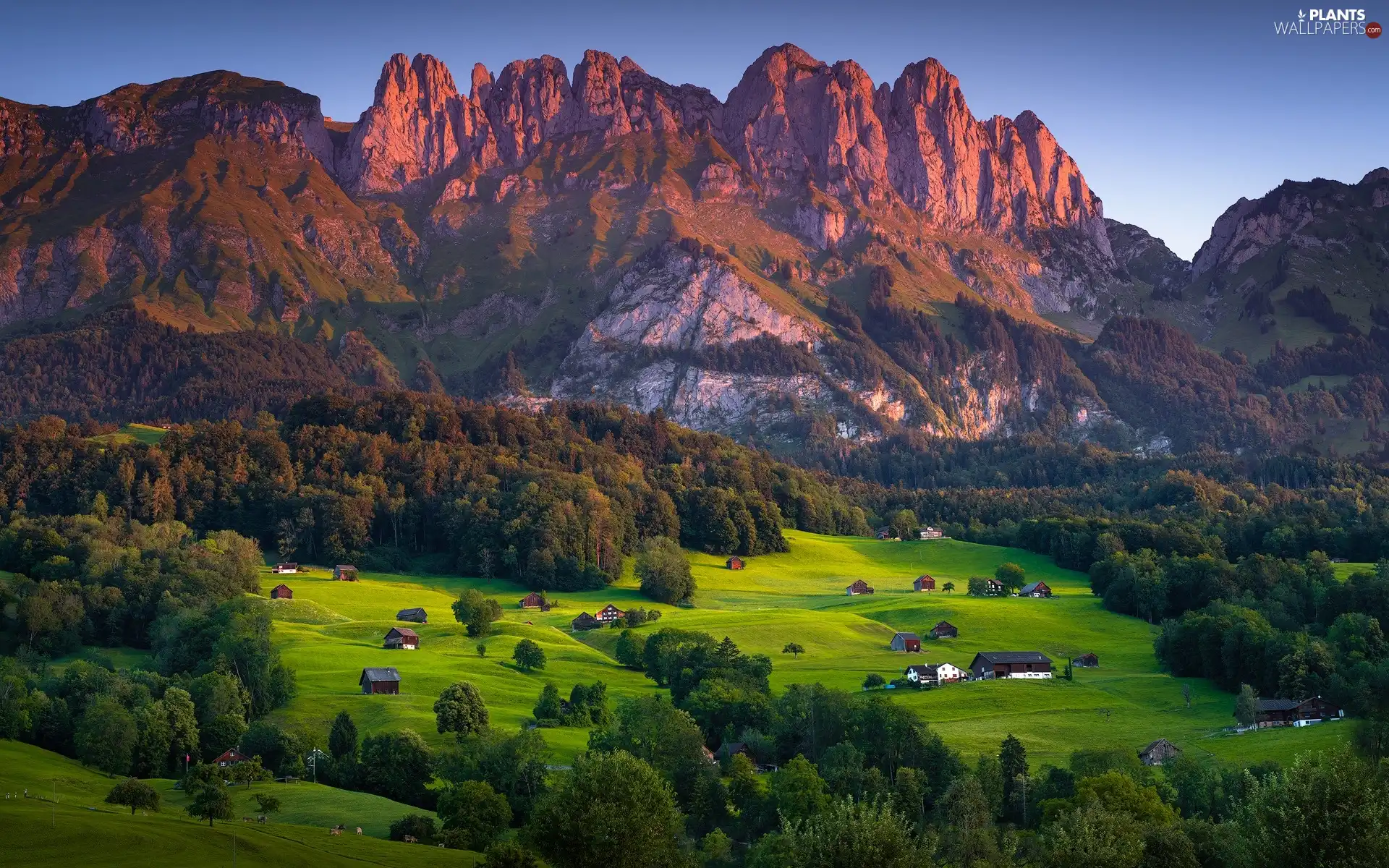 Meadow, The Hills, viewes, rocks, Mountains, trees, Houses