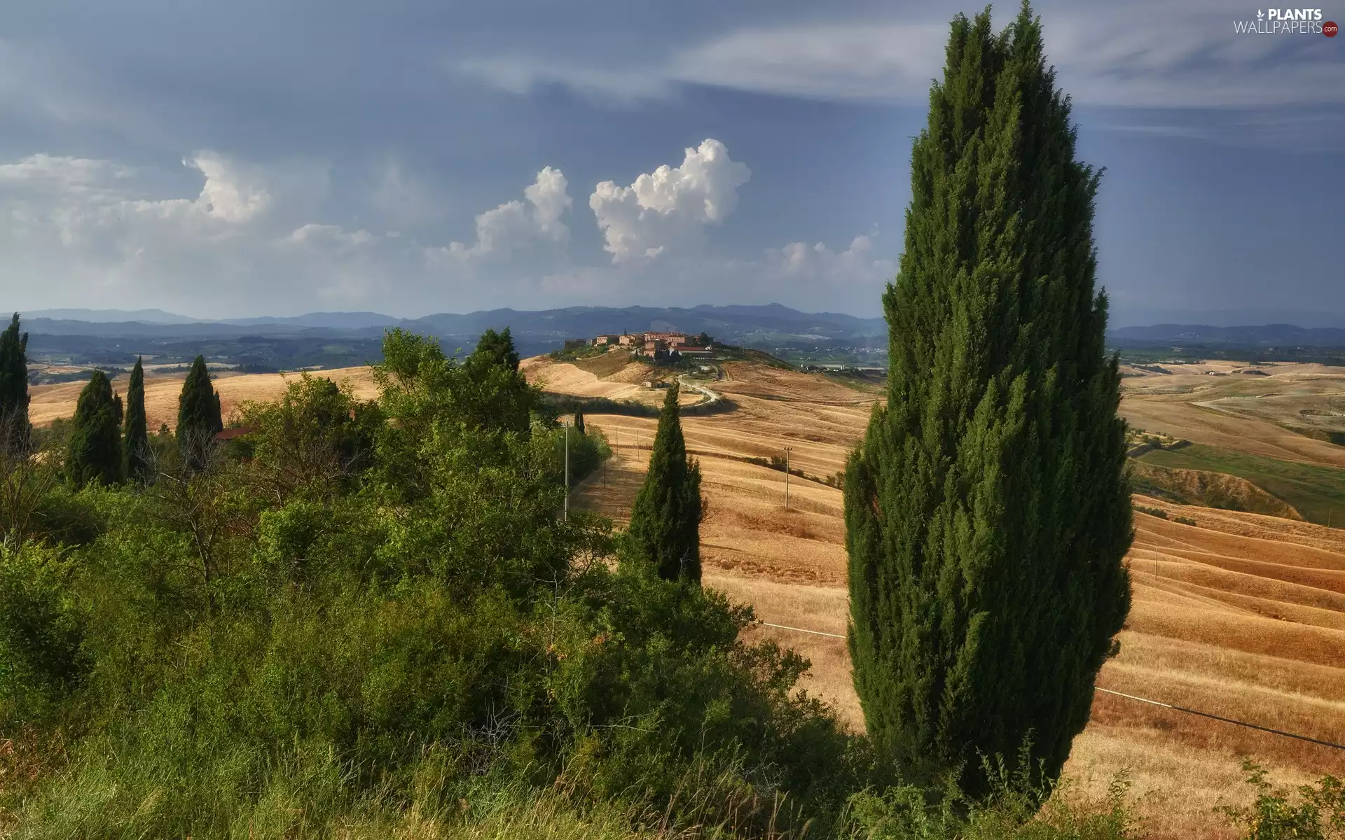 Houses, trees, Italy, viewes, Tuscany, The Hills, roads, Mountains