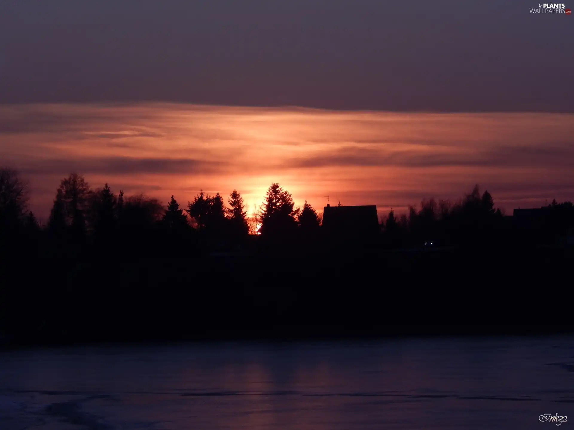 viewes, sun, lake, trees, west, Houses, Icecream