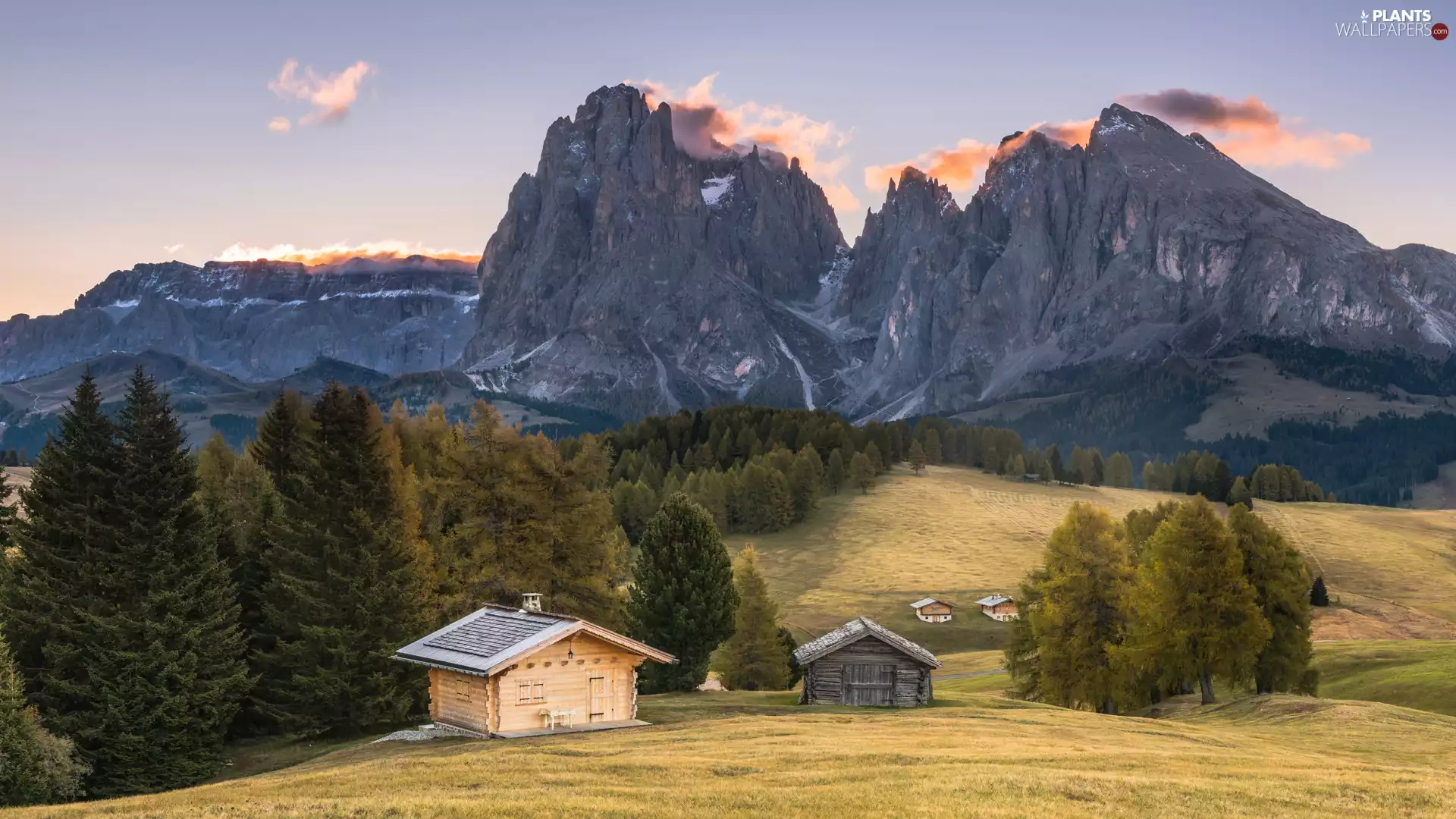 Sassolungo Mountains, Dolomites, Valley, Val Gardena, Houses, Italy, viewes, wood, trees
