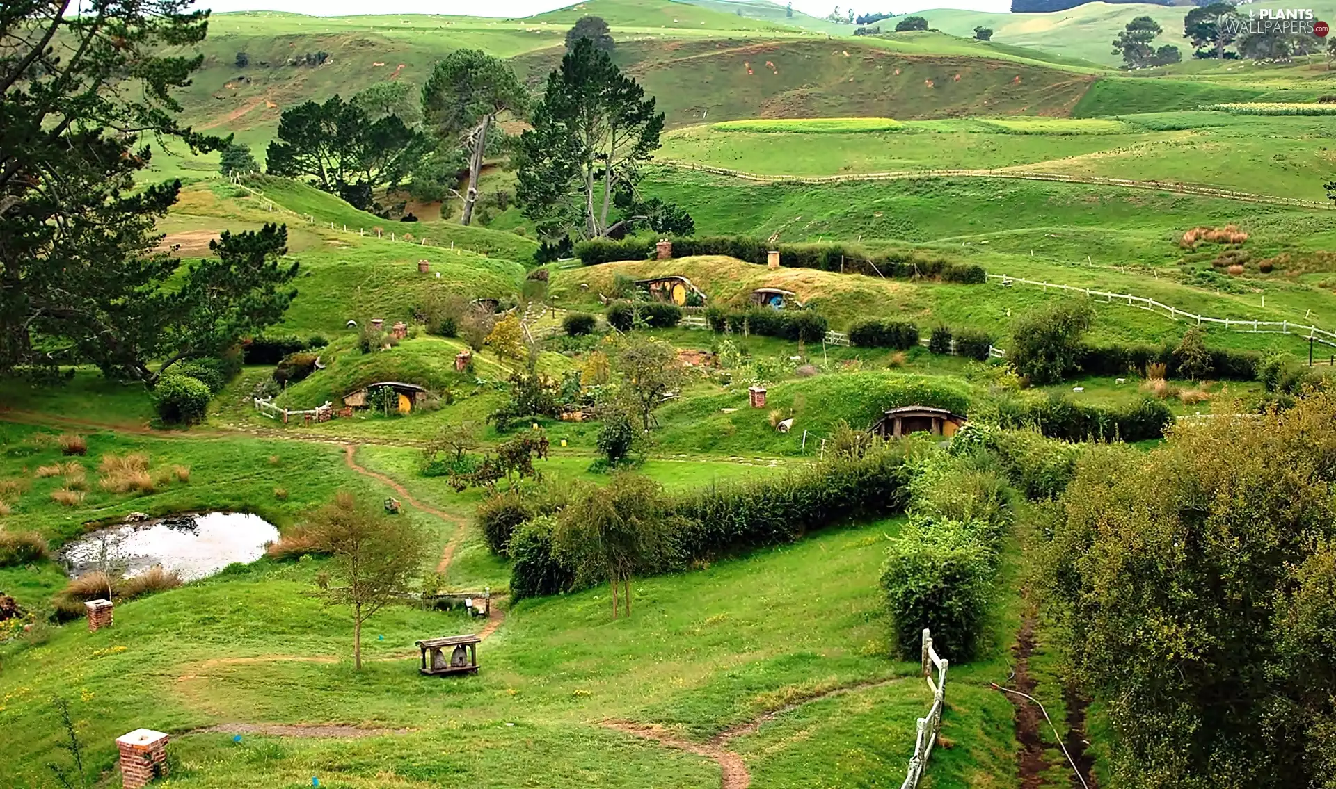 The Hills, land, Houses, Vegetation, medows, Hobbits