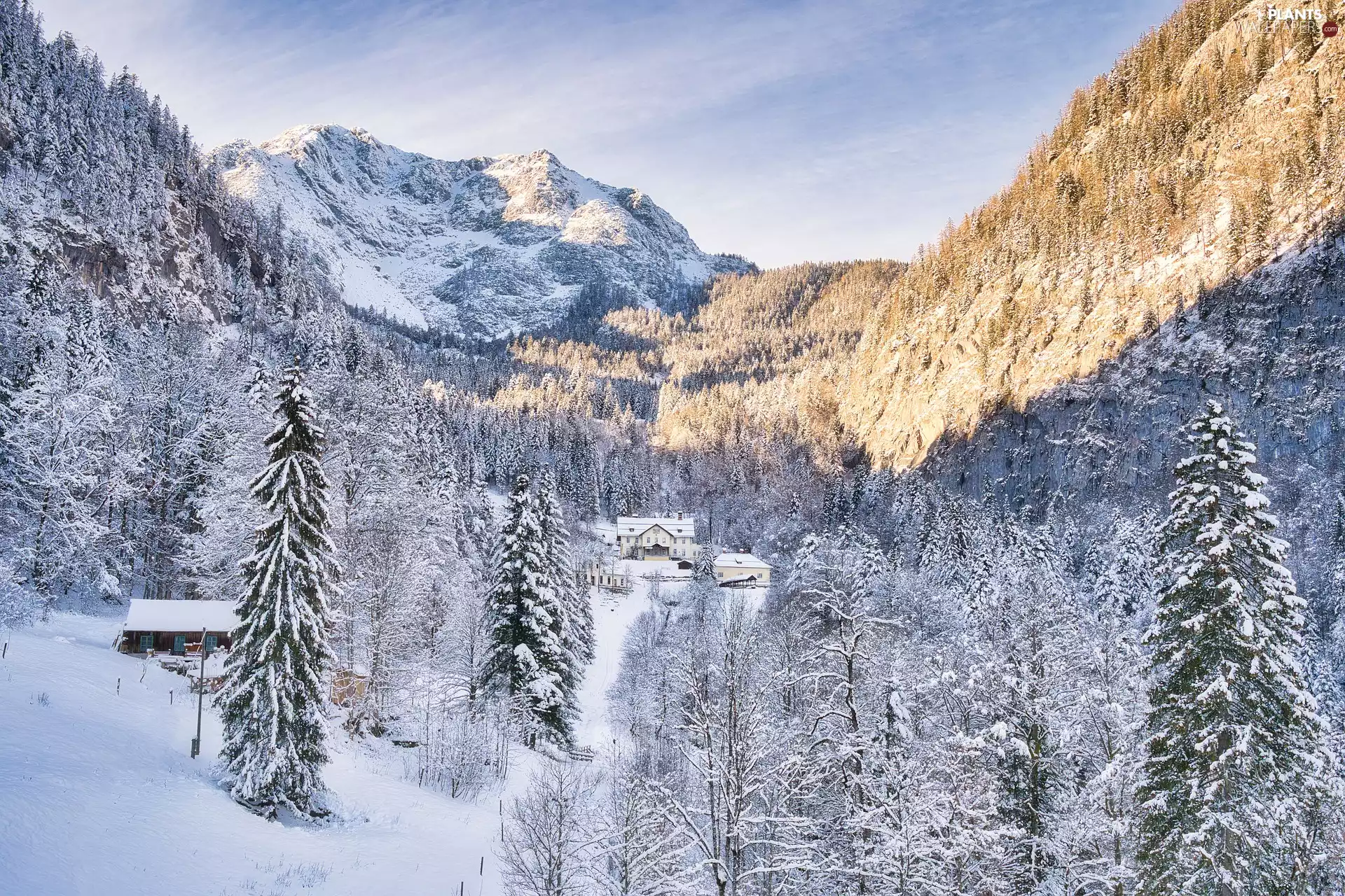 trees, winter, forest, Houses, viewes, Mountains