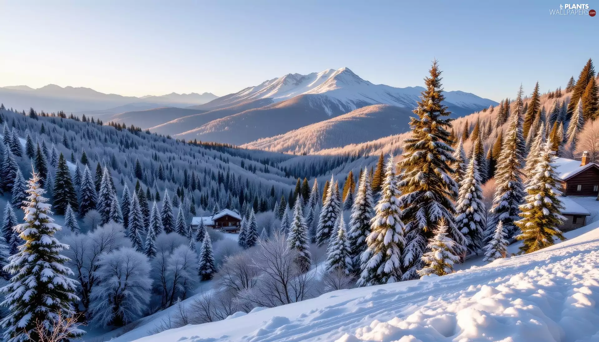 Snowy, trees, Mountains, viewes, snow, forest, winter, Houses