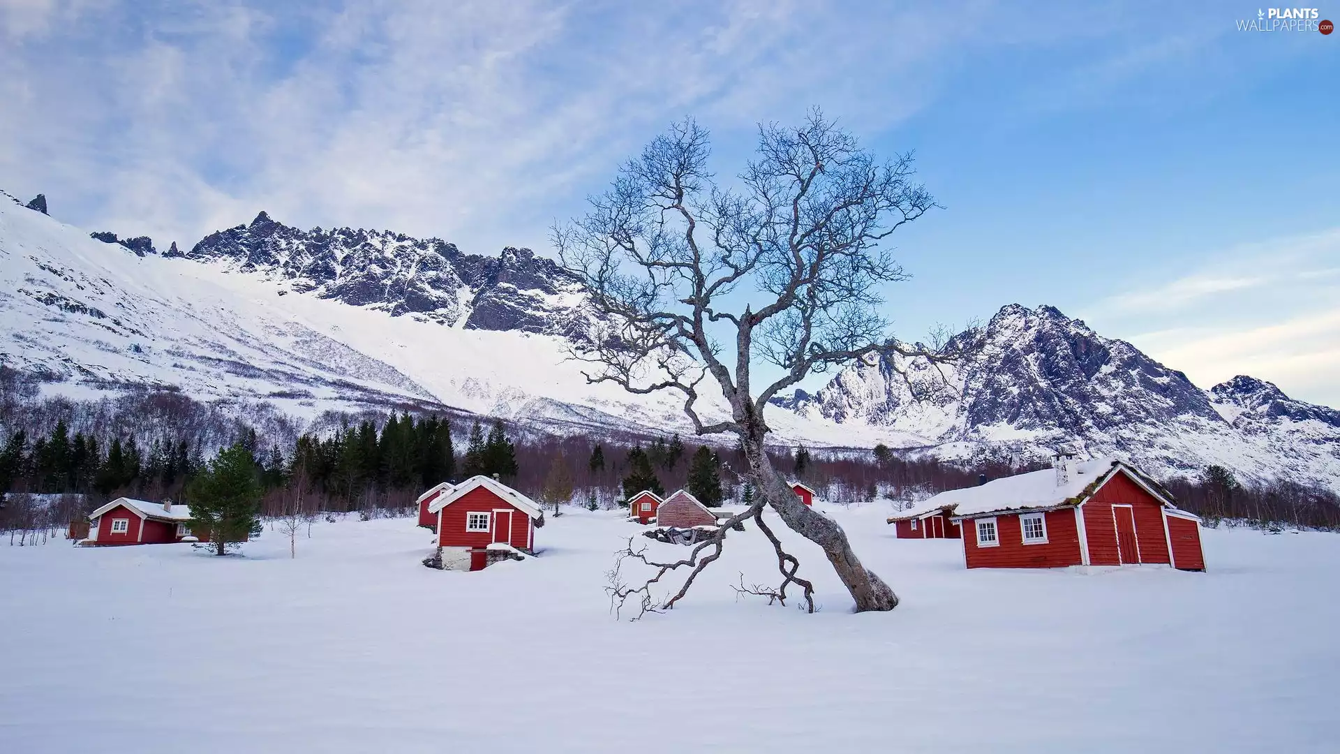 Red, Houses, Mountains, trees, winter