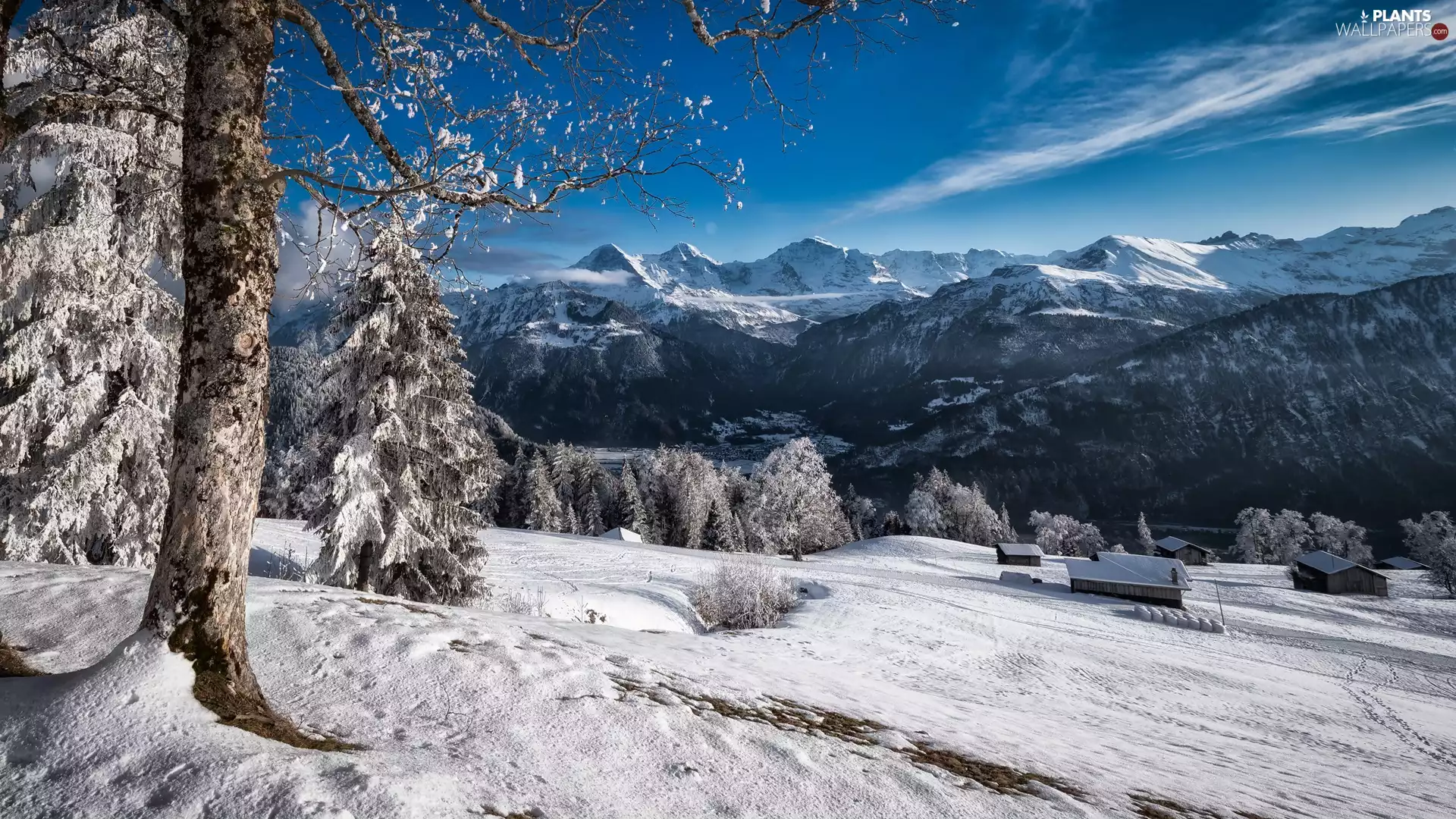 viewes, Houses, Mountains, trees, winter