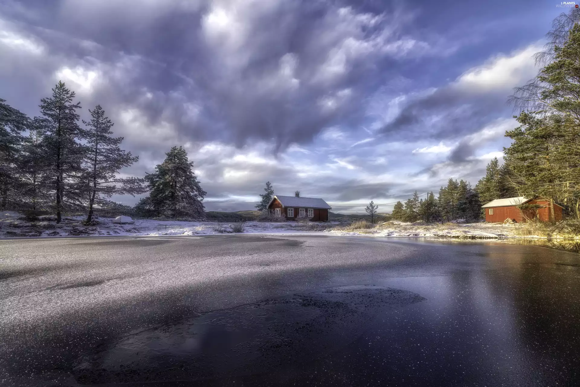 Houses, Ringerike Municipality, viewes, Vaeleren Lake, Norway, trees, winter