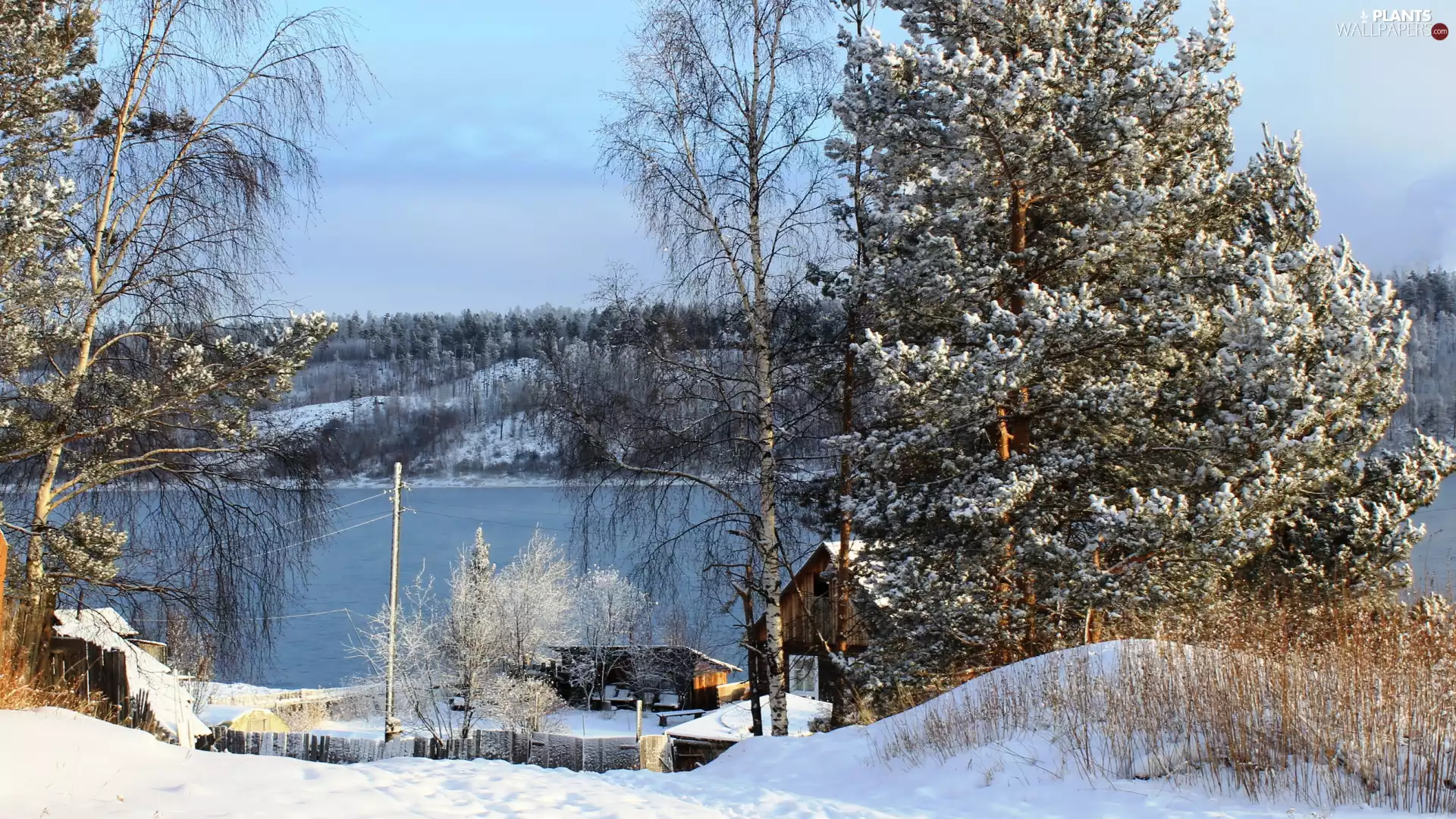 trees, winter, River, Houses, viewes, snow