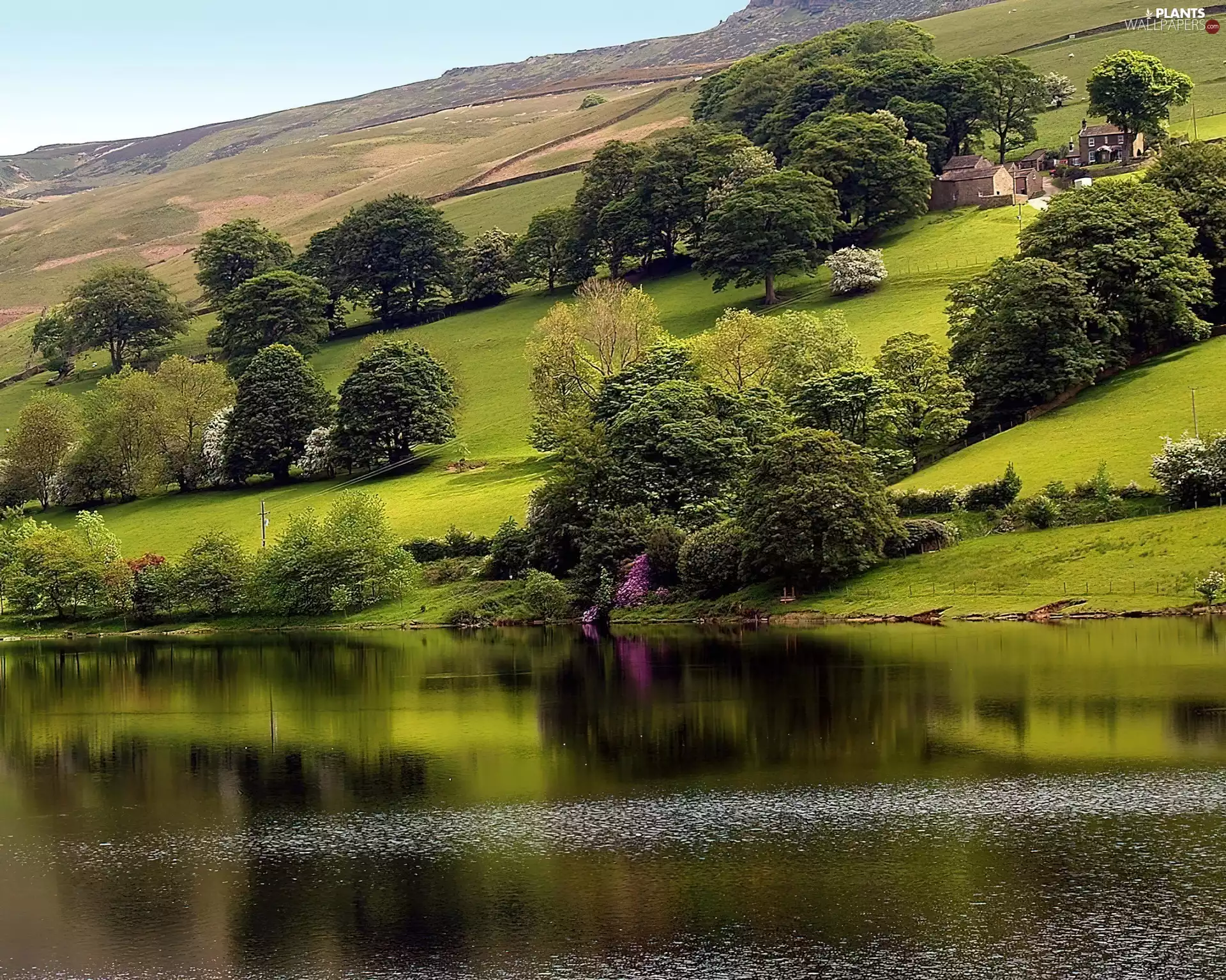 The Slope, The Hills, trees, viewes, medows, Houses