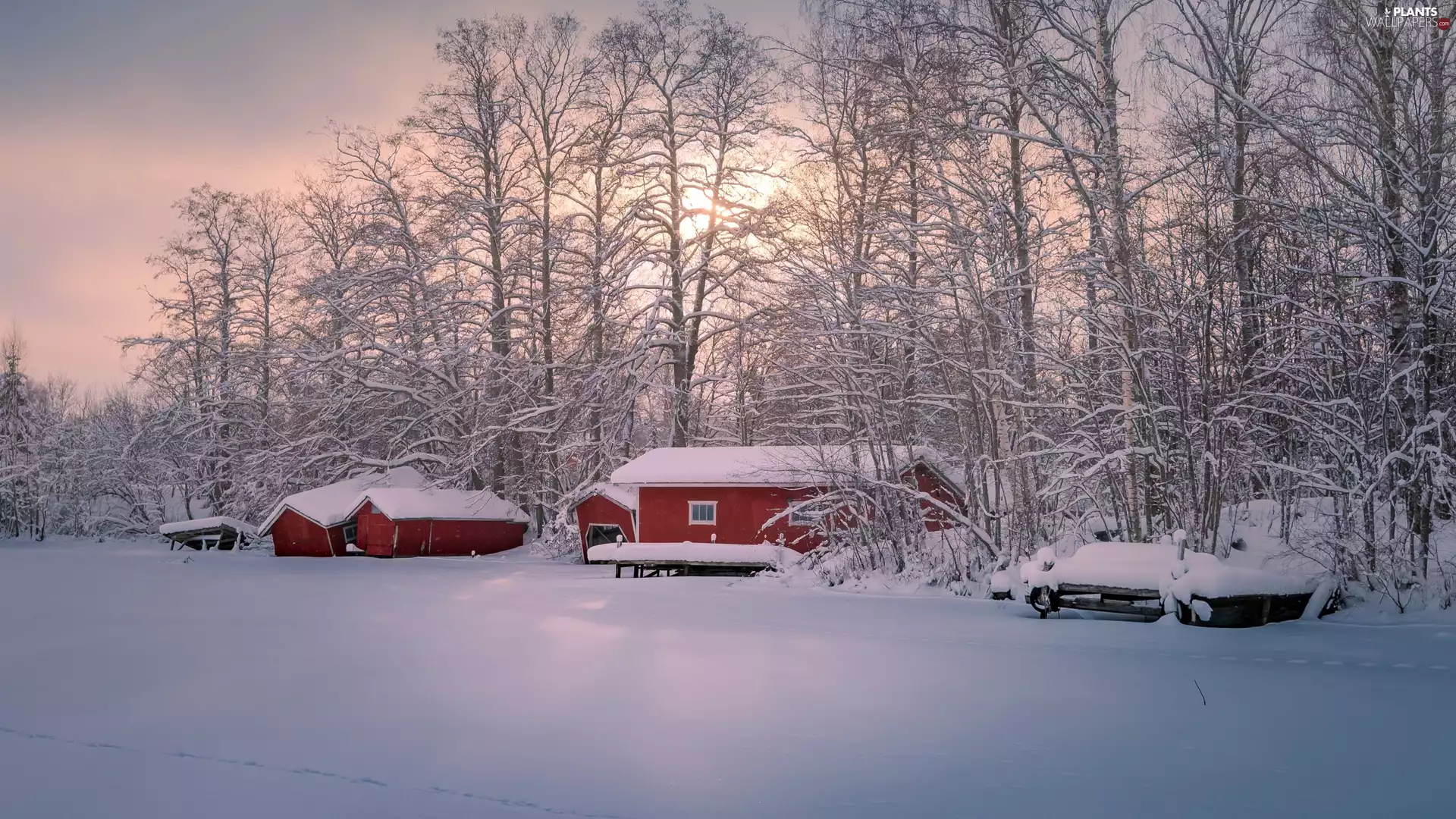 Red, Houses, trees, viewes, winter