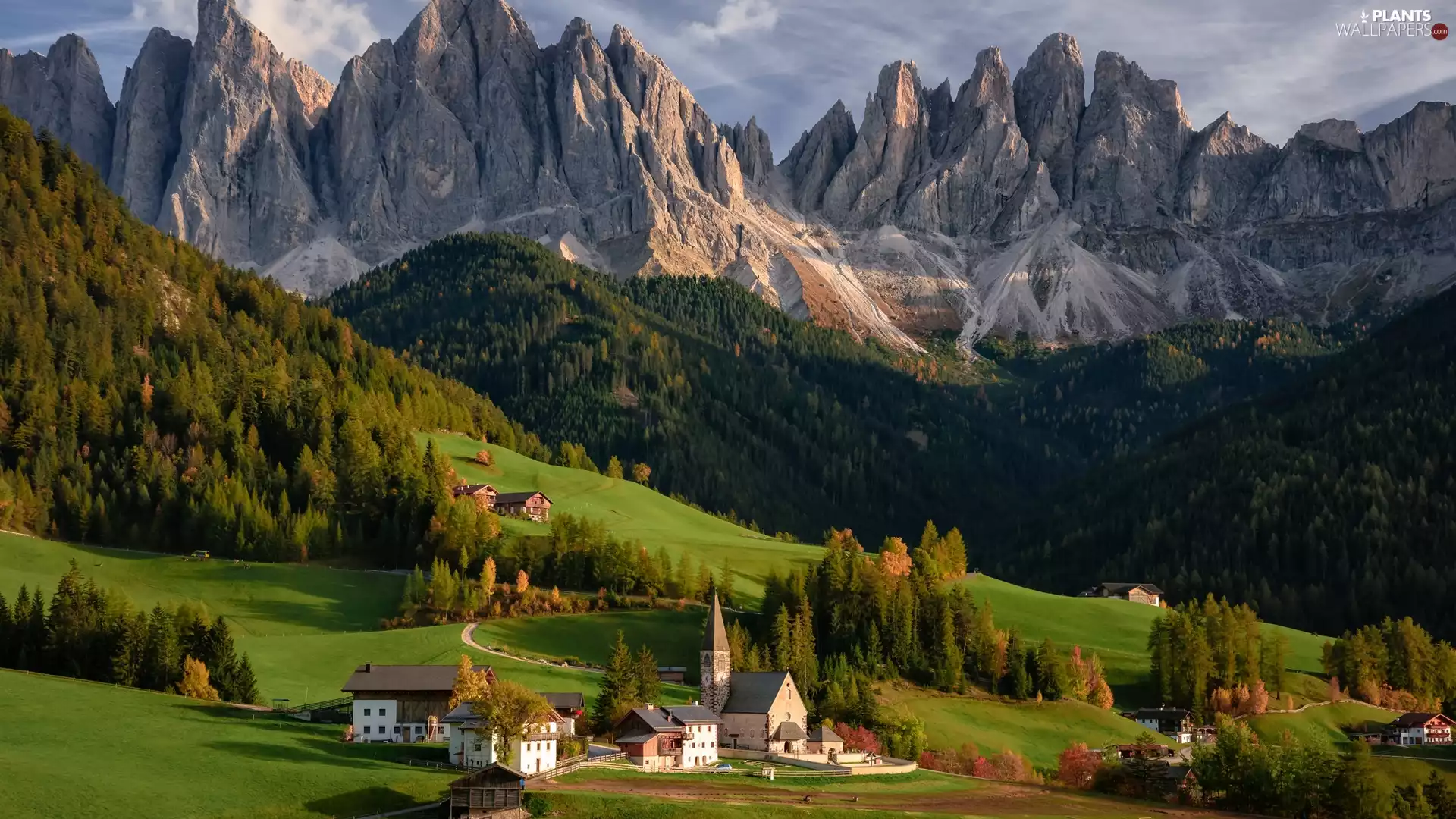 trees, Village of Santa Maddalena, Mountains, Houses, Dolomites, Italy, Val di Funes Valley, Church, viewes, woods